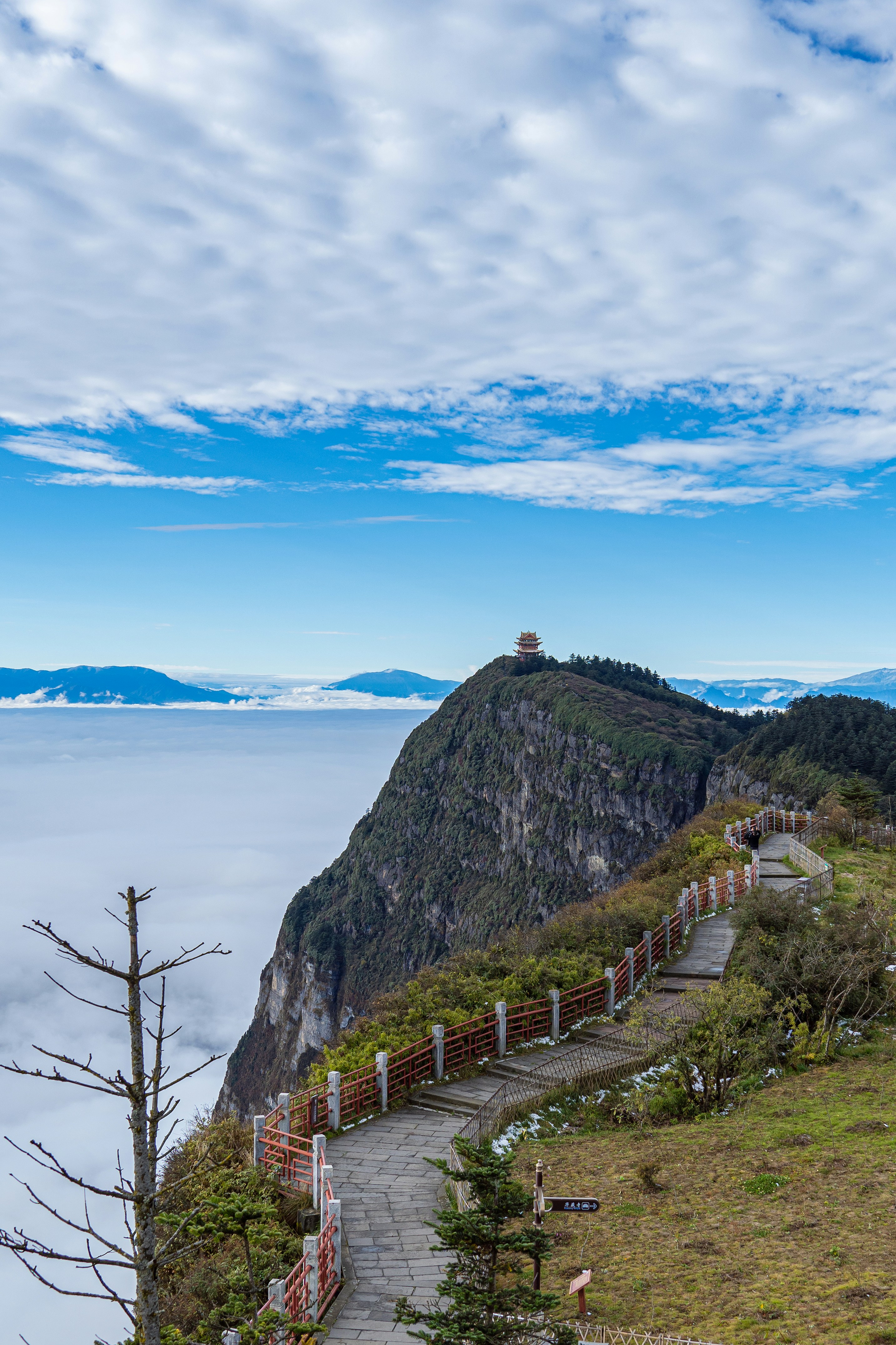 a path leading to a cliff