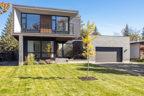 a house with a tree in the front yard