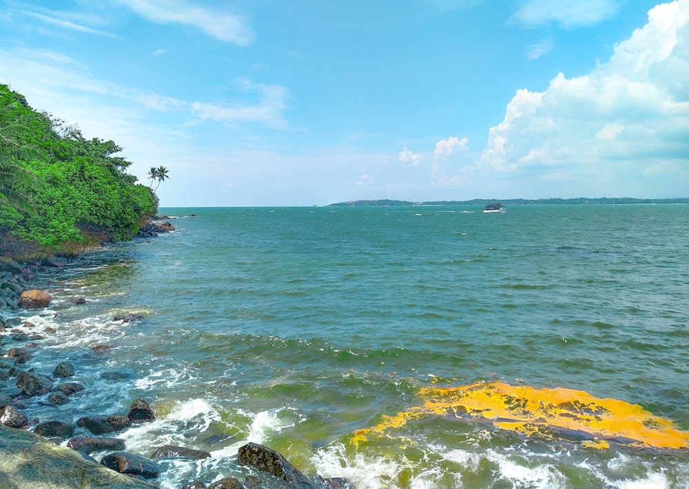 a rocky beach with a body of water and trees