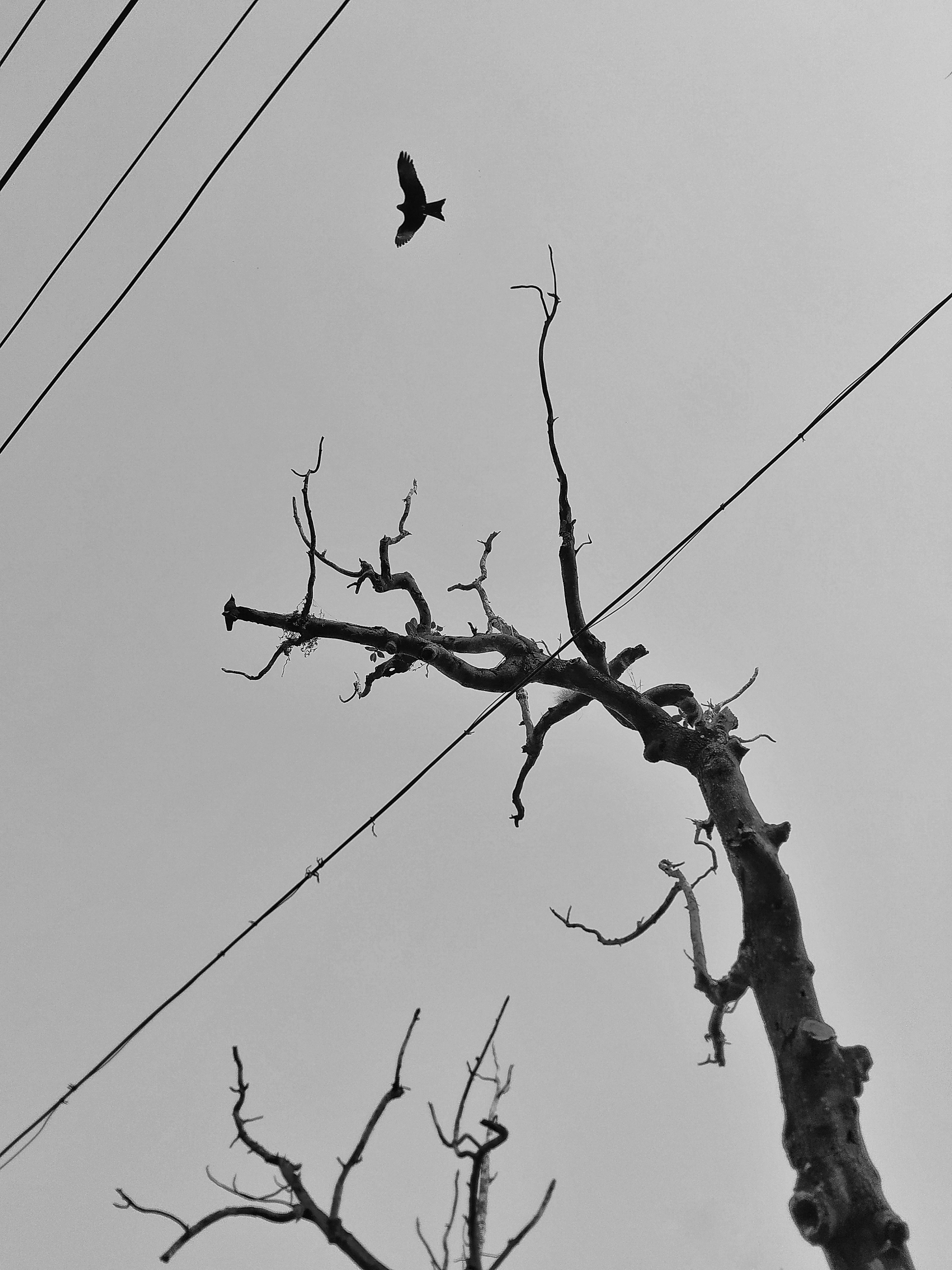 Photo by janmejoy_29