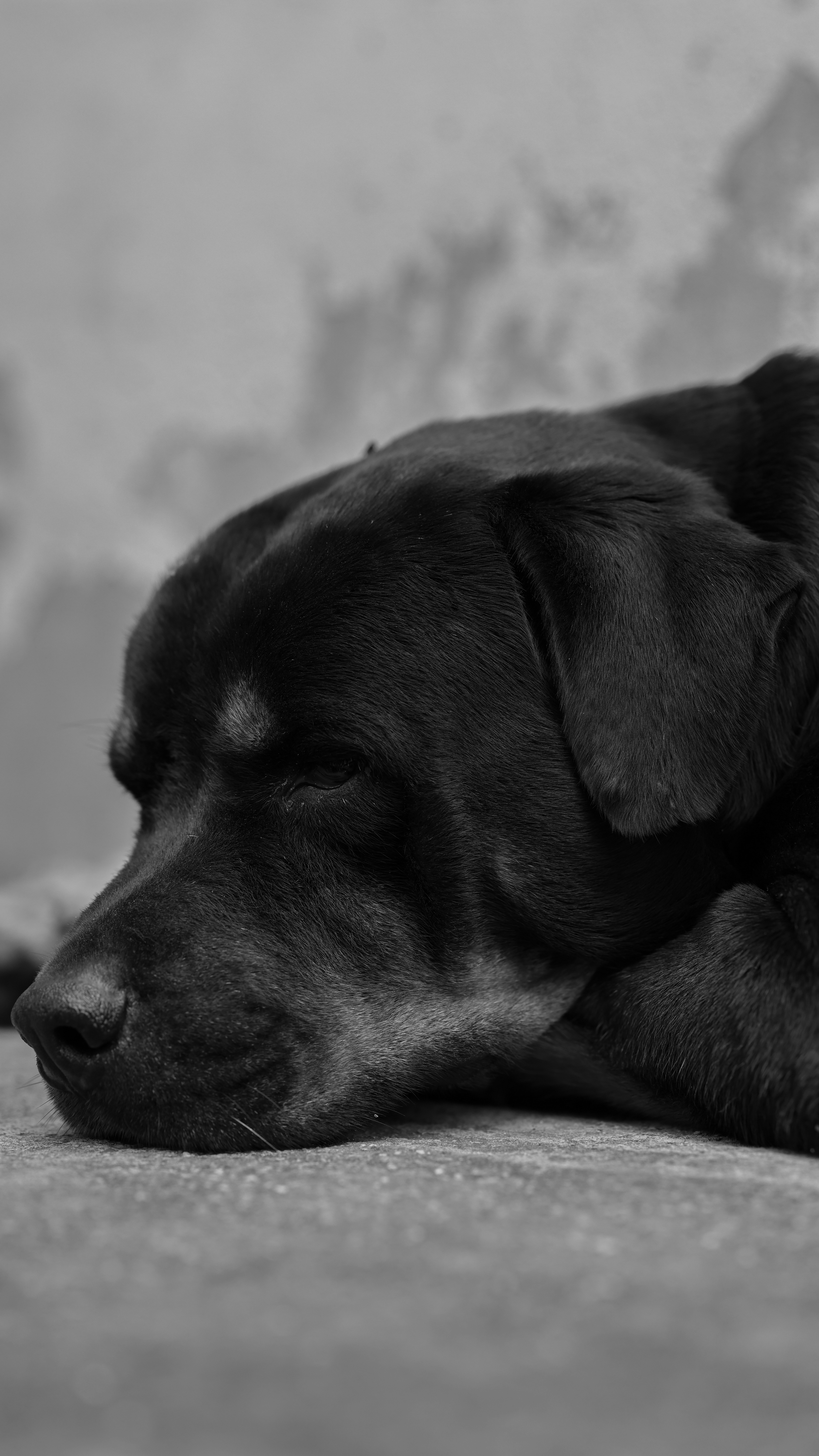 Photo by davidchangkit