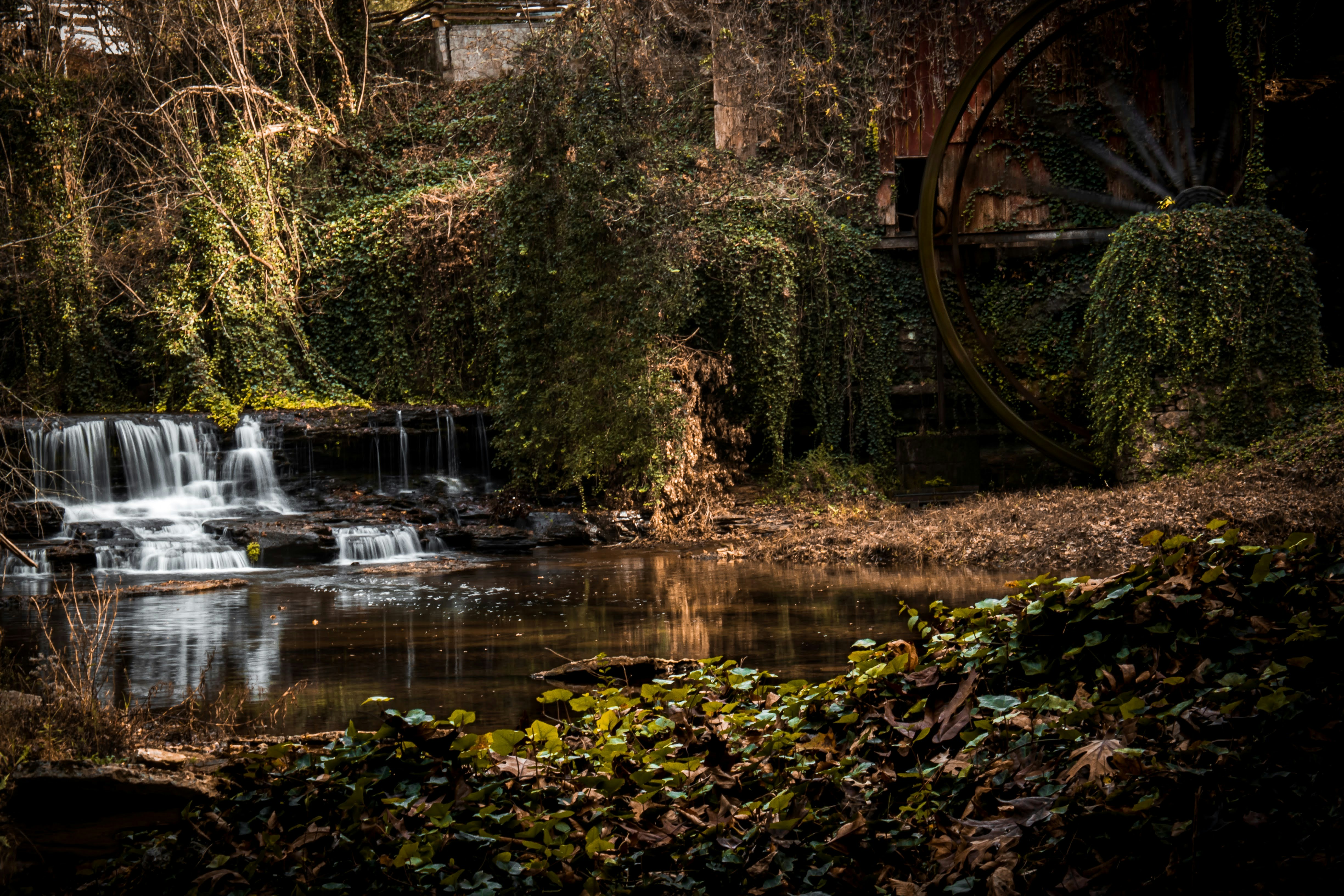 a waterfall in a forest