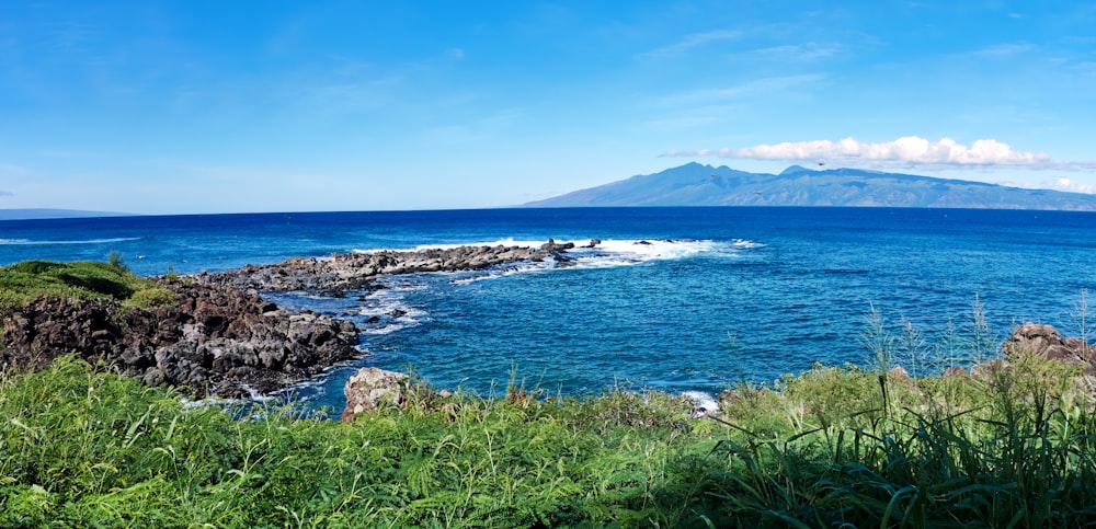 a body of water with rocks and plants on the side