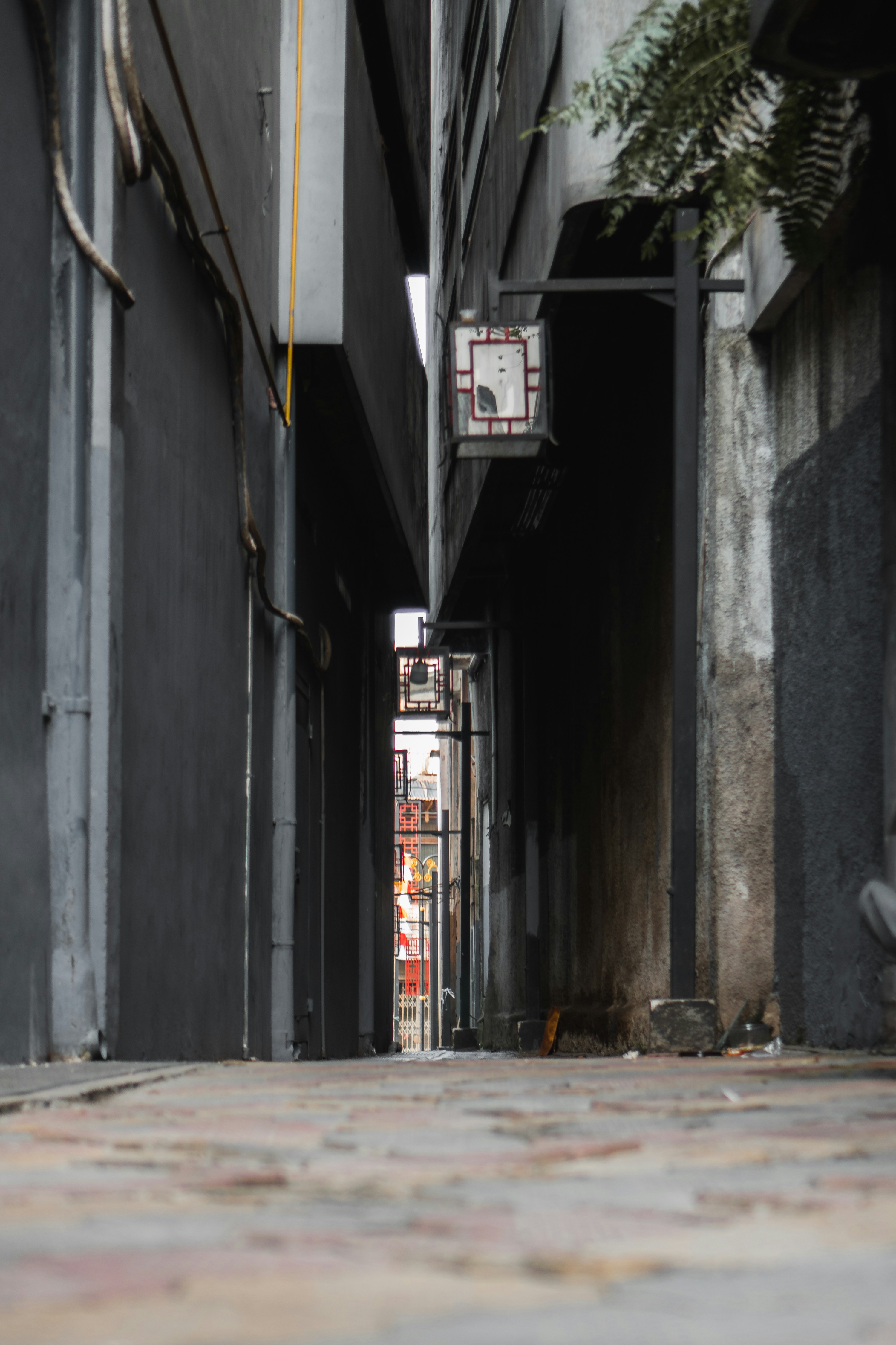 Photo by nazmijavier