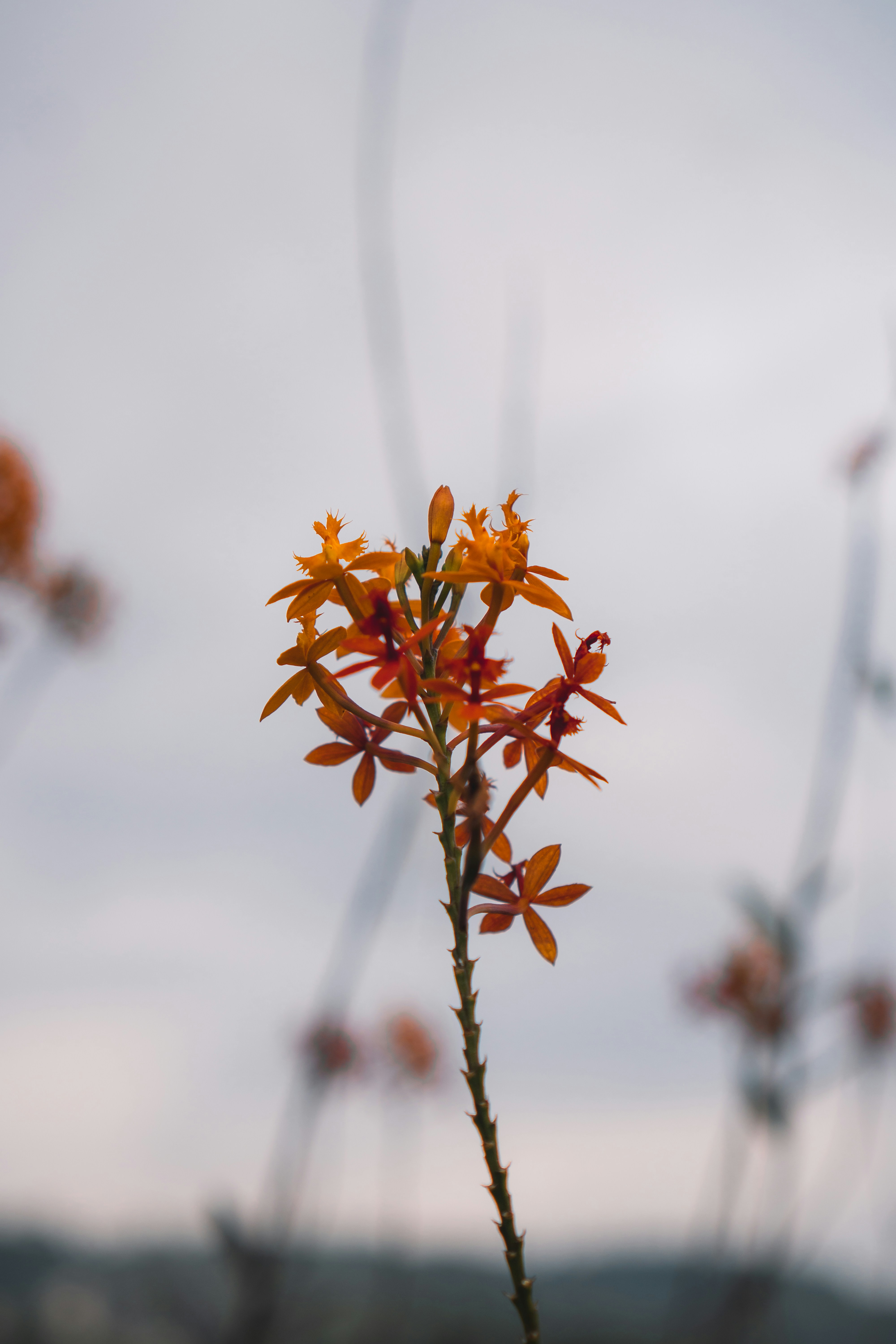 Photo by nazmijavier