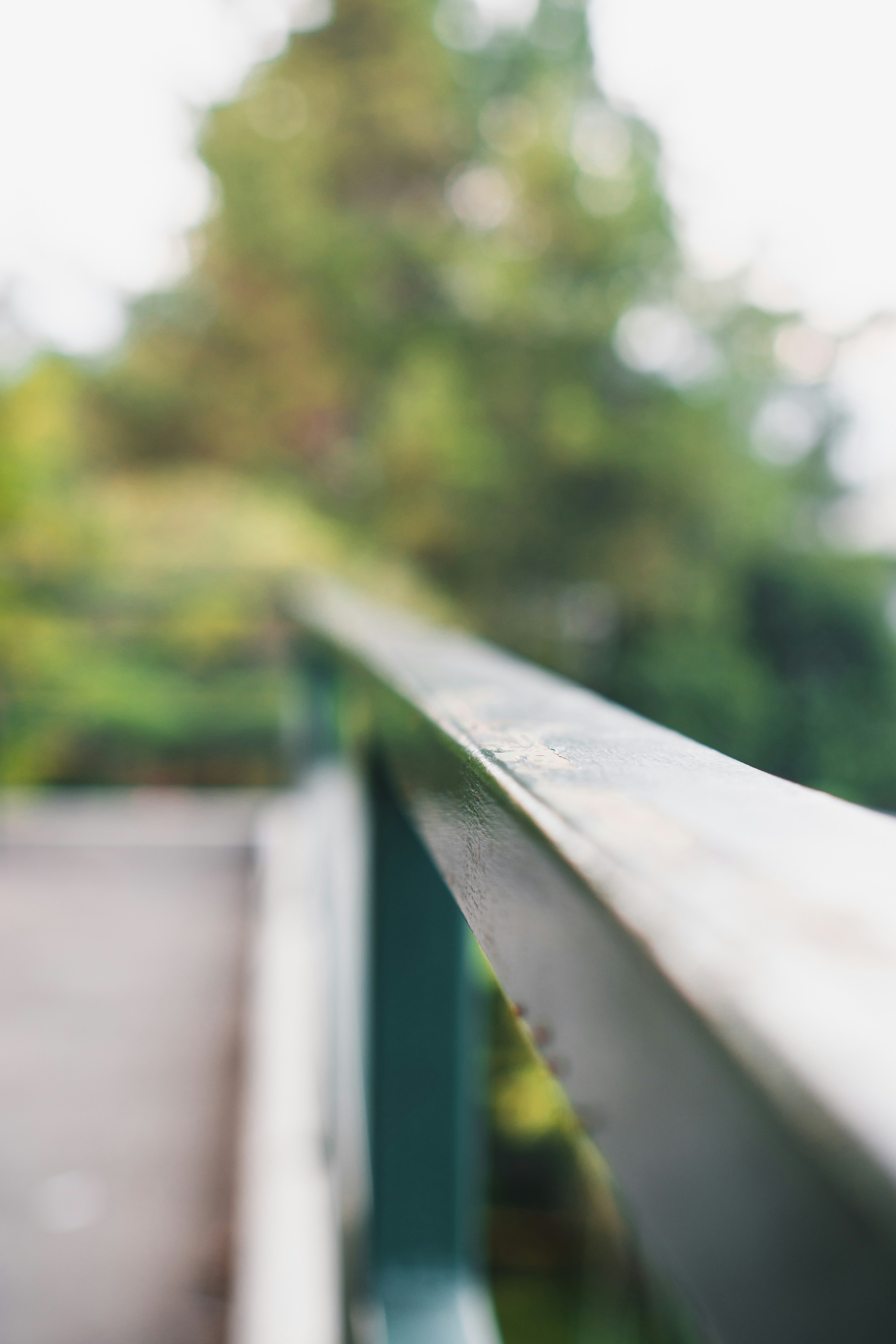 Photo by nazmijavier