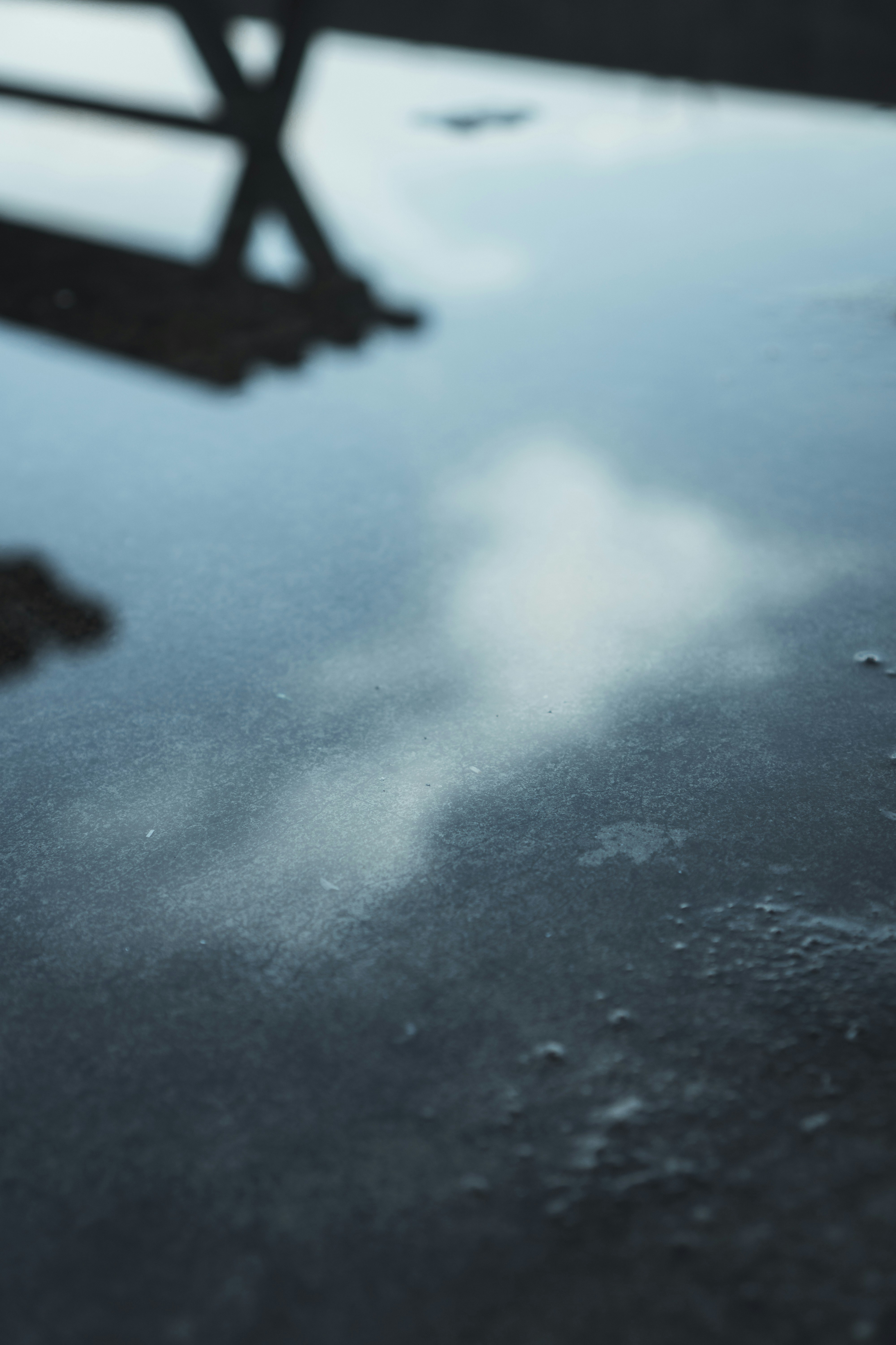 Photo by nazmijavier