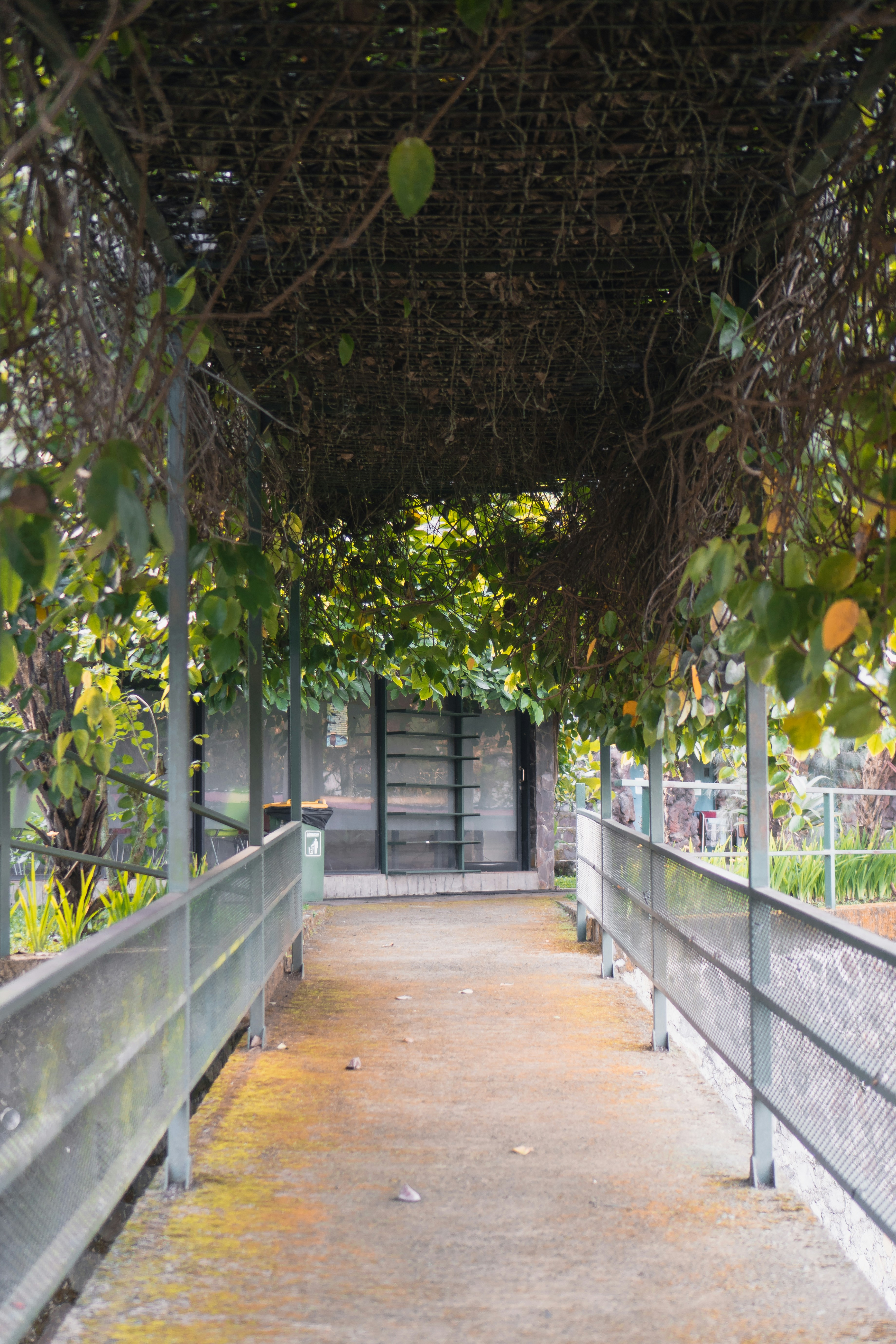 Photo by nazmijavier