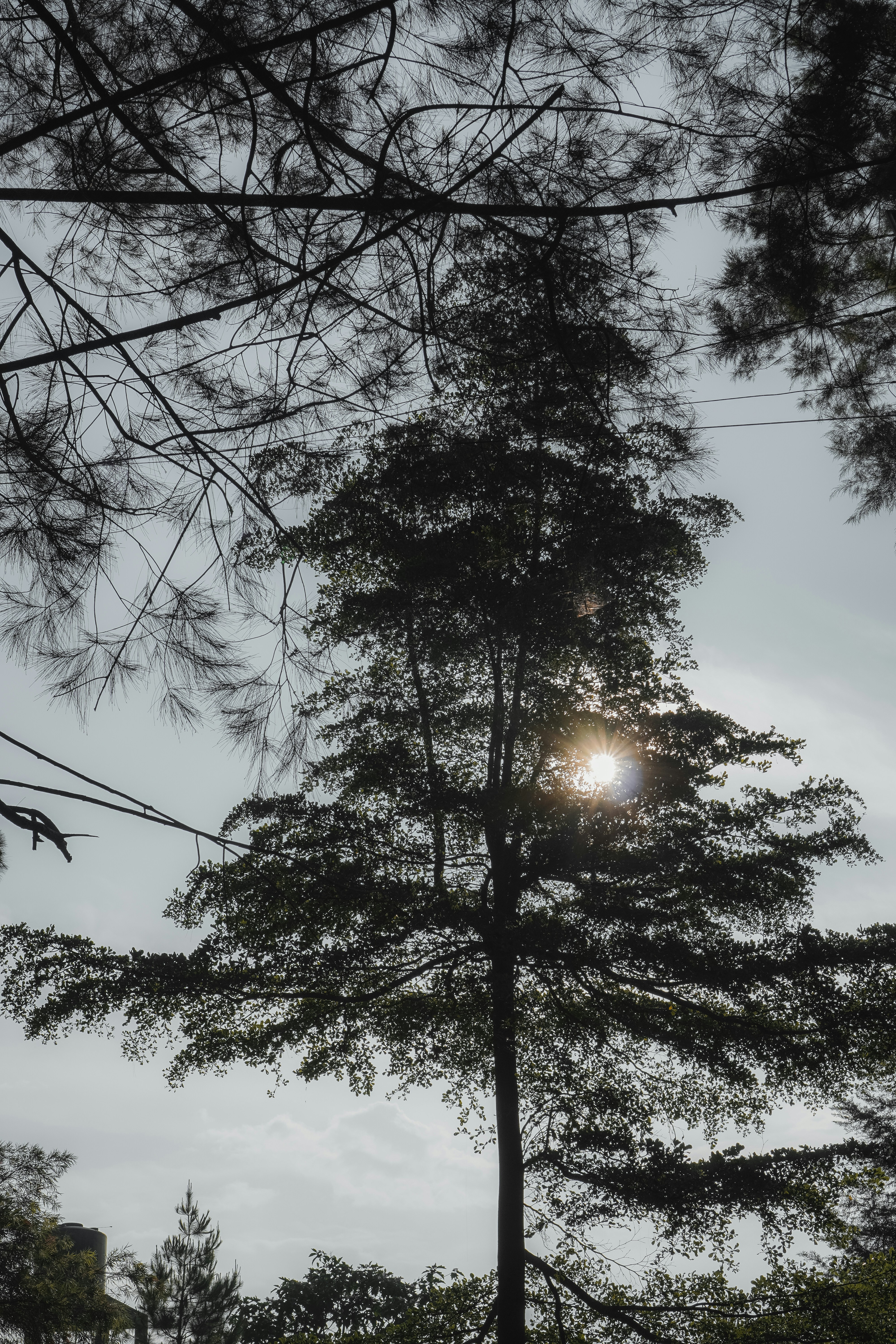 Photo by nazmijavier