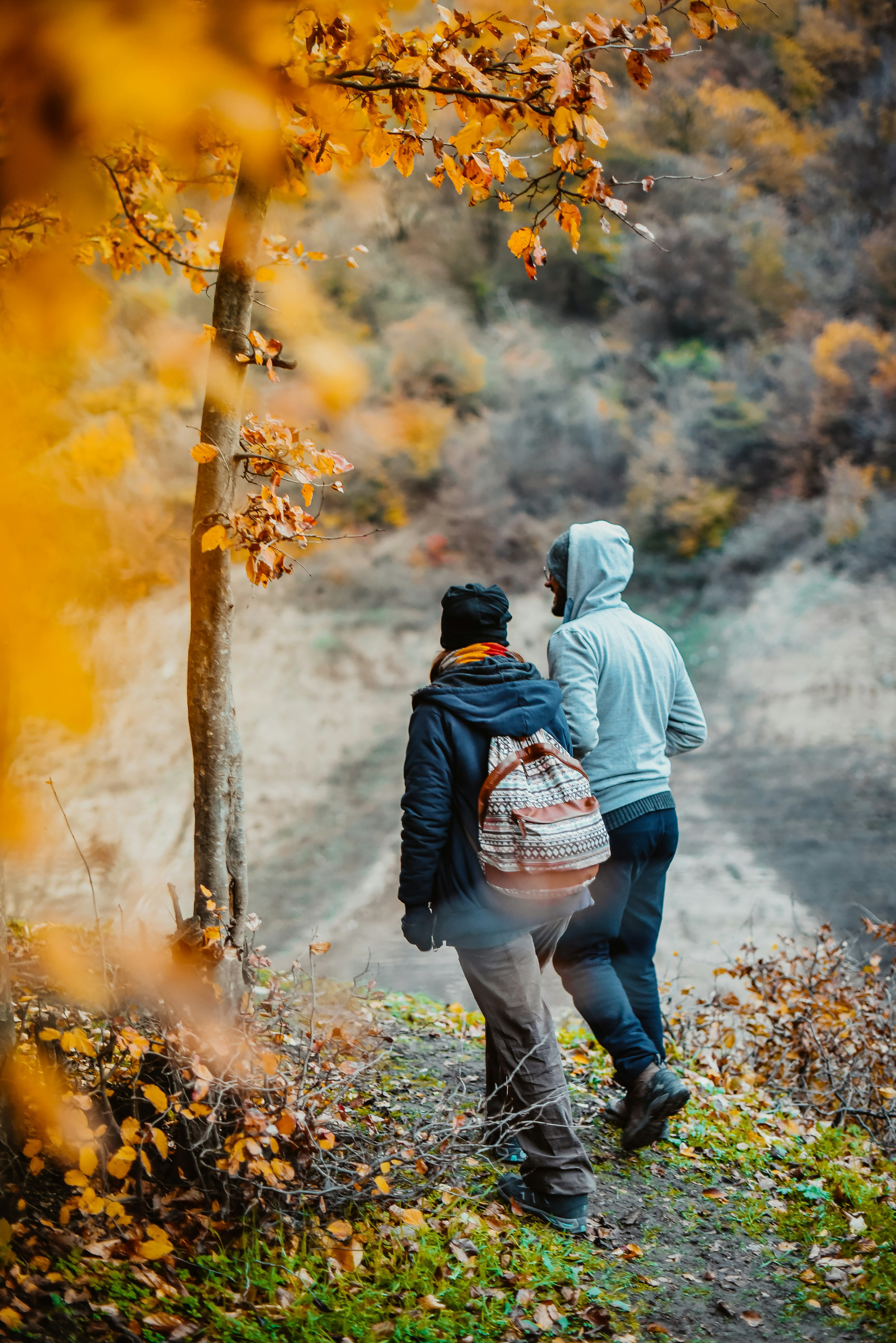 Photo by mahyarmotebassem