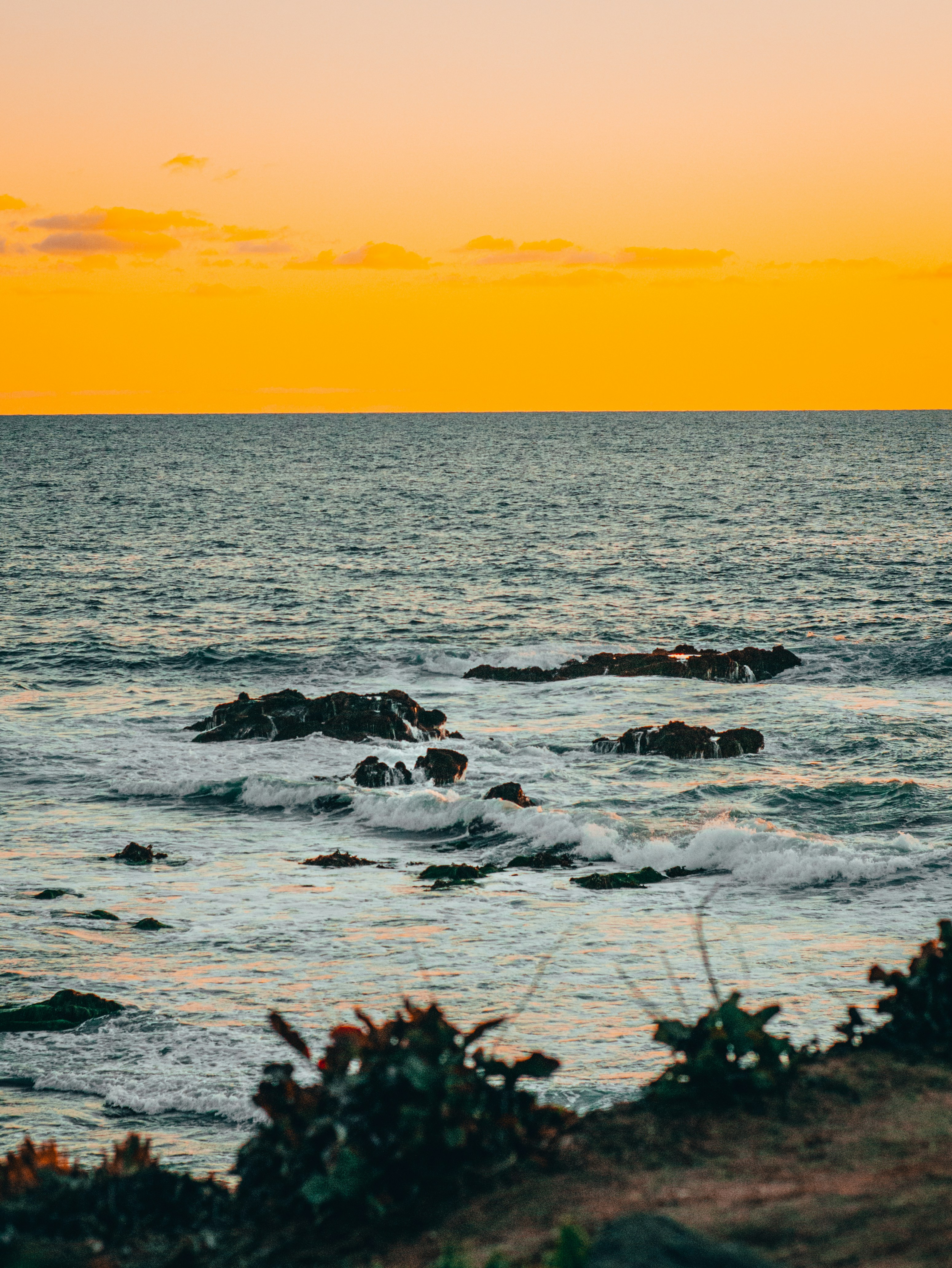 Photo by kingkonggeorge