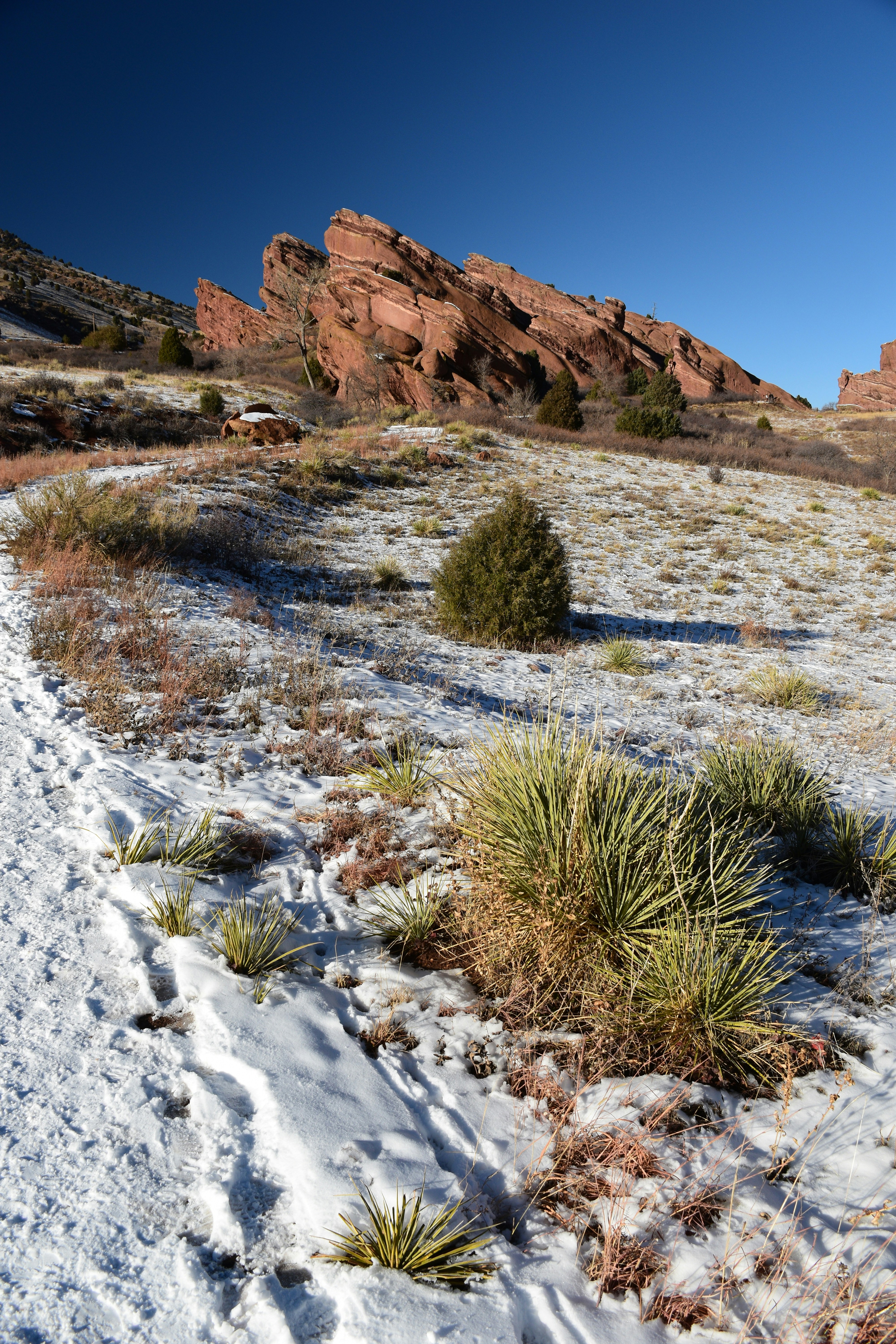 a desert landscape with a few cactus