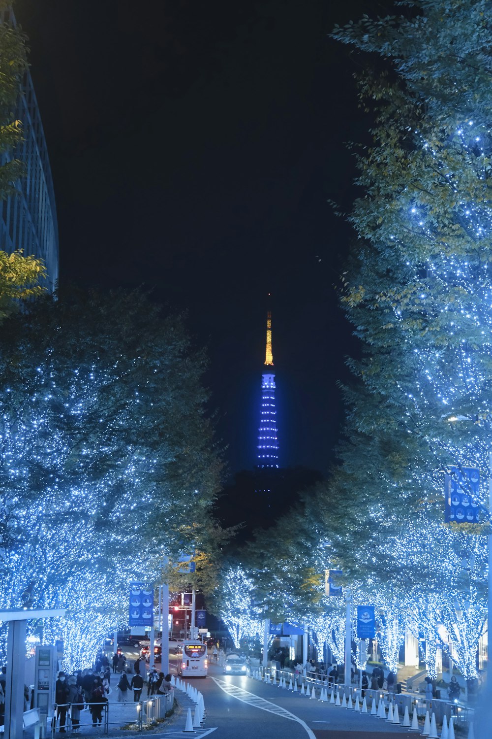 Una calle de la ciudad con árboles y luces