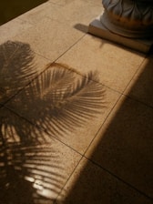 a close-up of a wooden floor