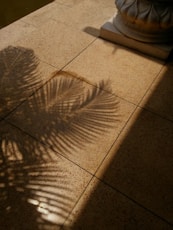 a close-up of a wooden floor