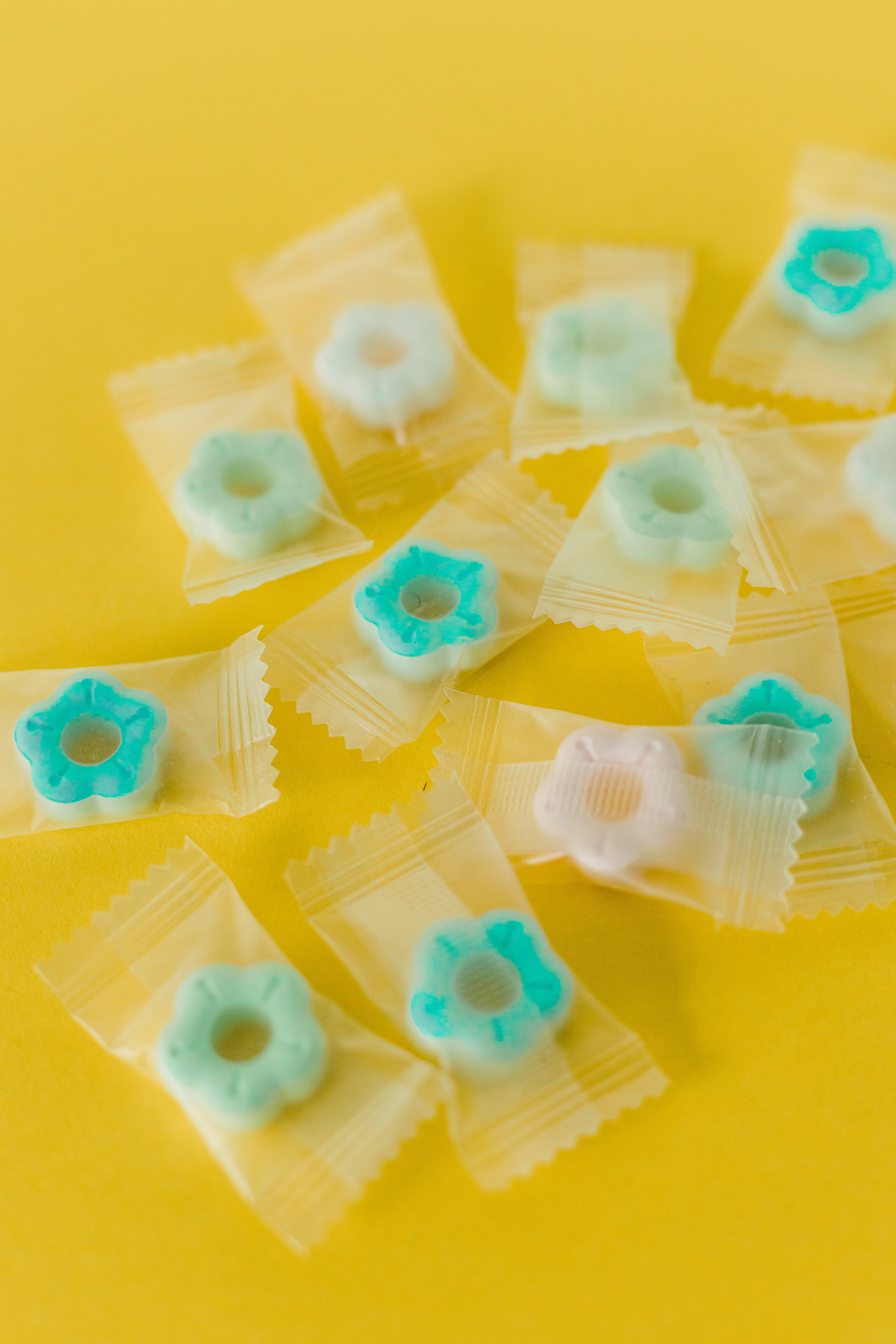 Photo by behy_studio