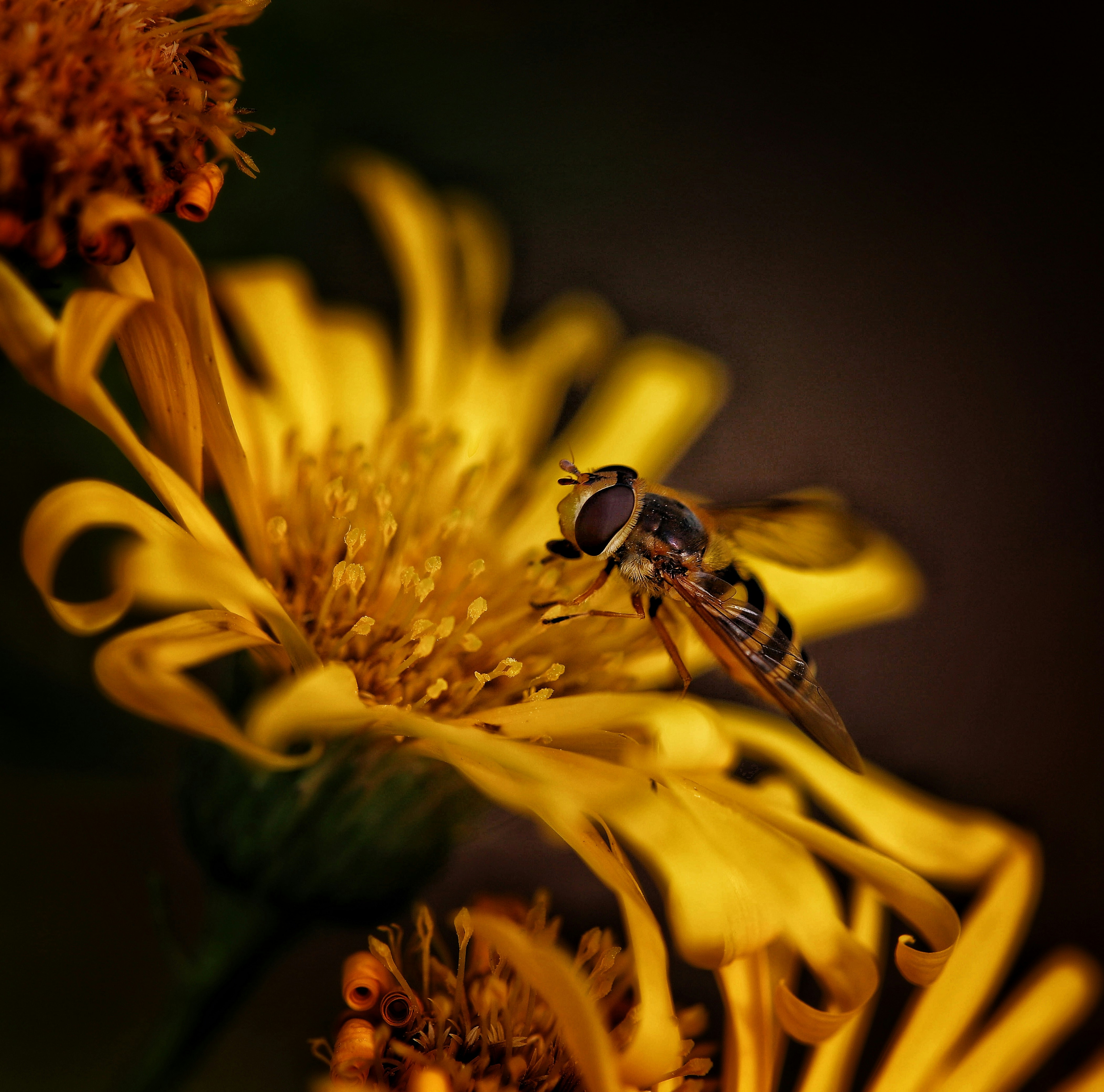 Photo by hdbernd