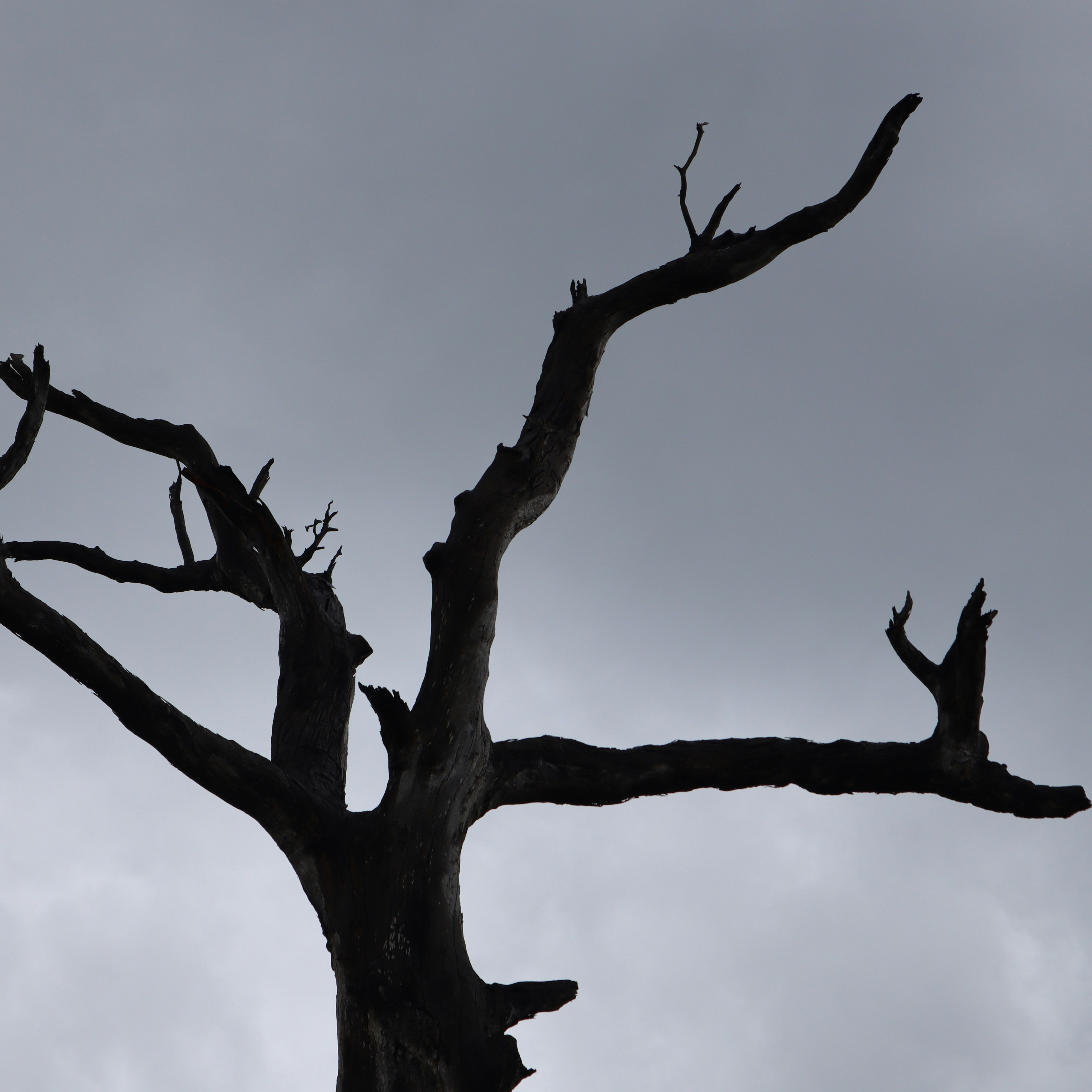 Photo by spencer_ord