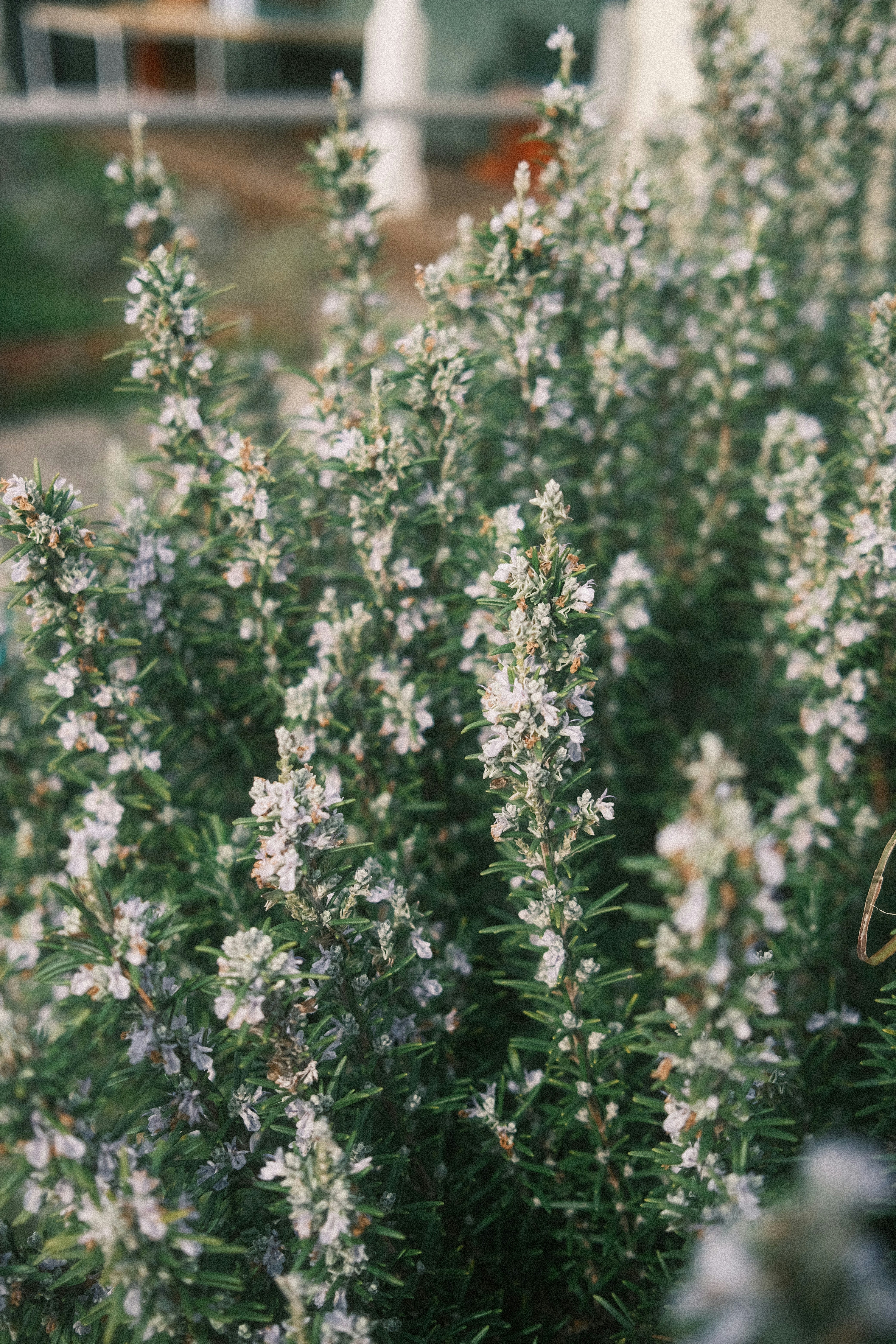 Photo by jaywennington