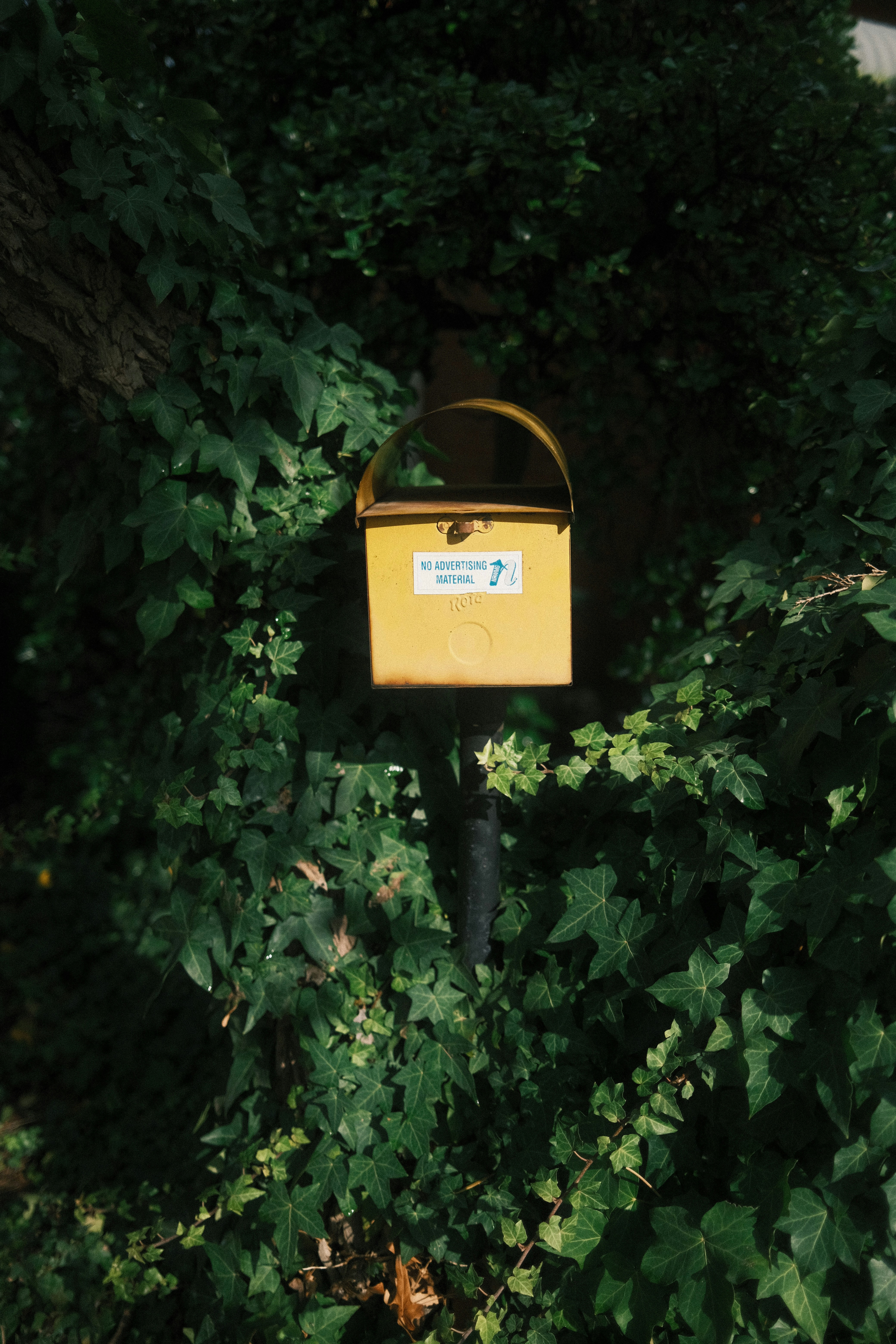 Photo by jaywennington