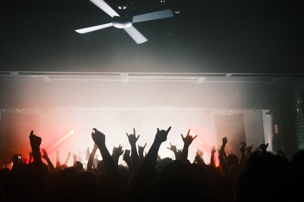 Una multitud de personas en un concierto