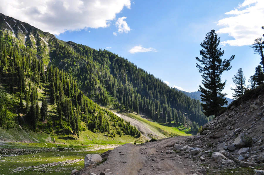 Green hills Swat region