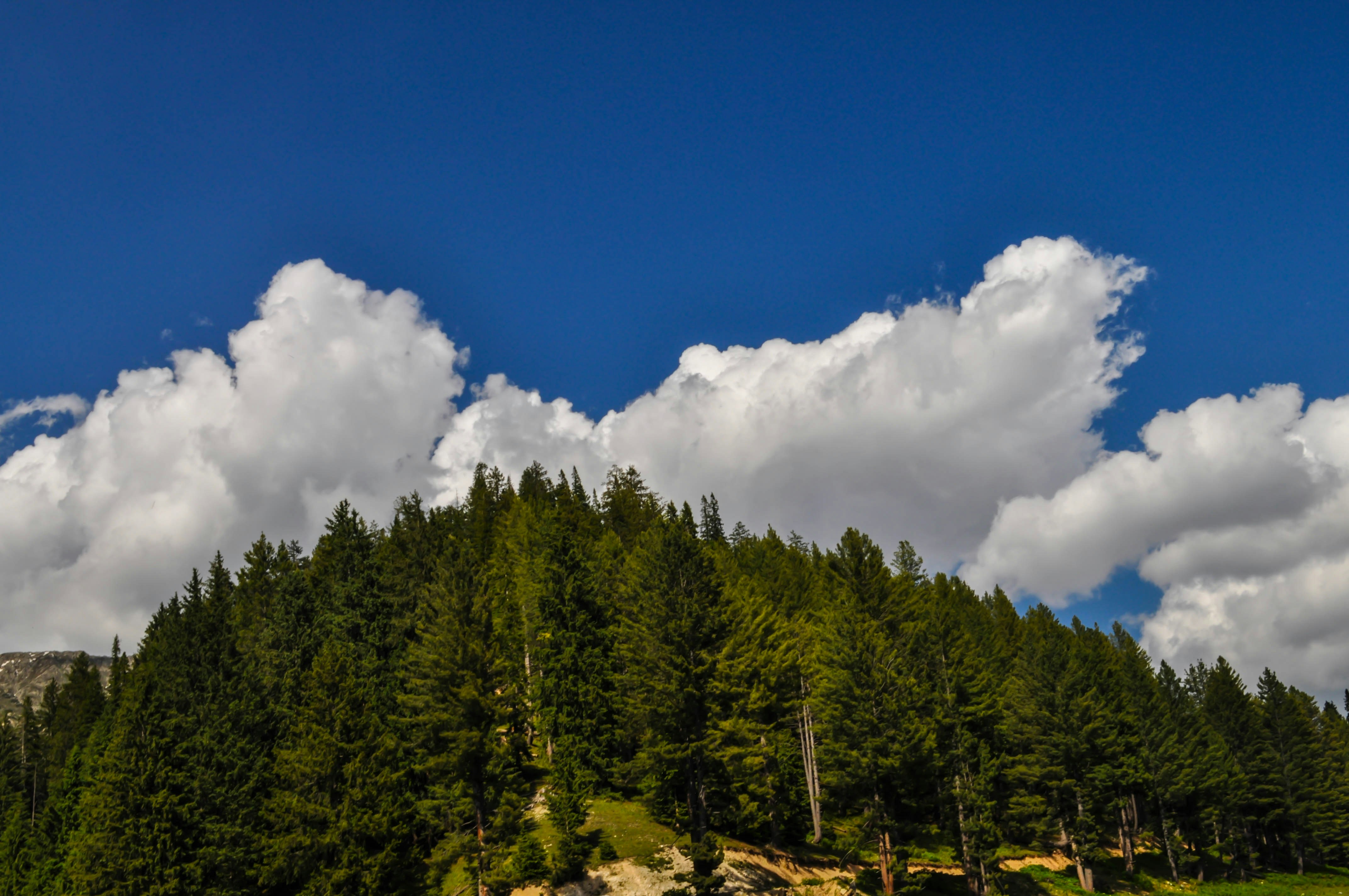 Photo by ucgraphichouse