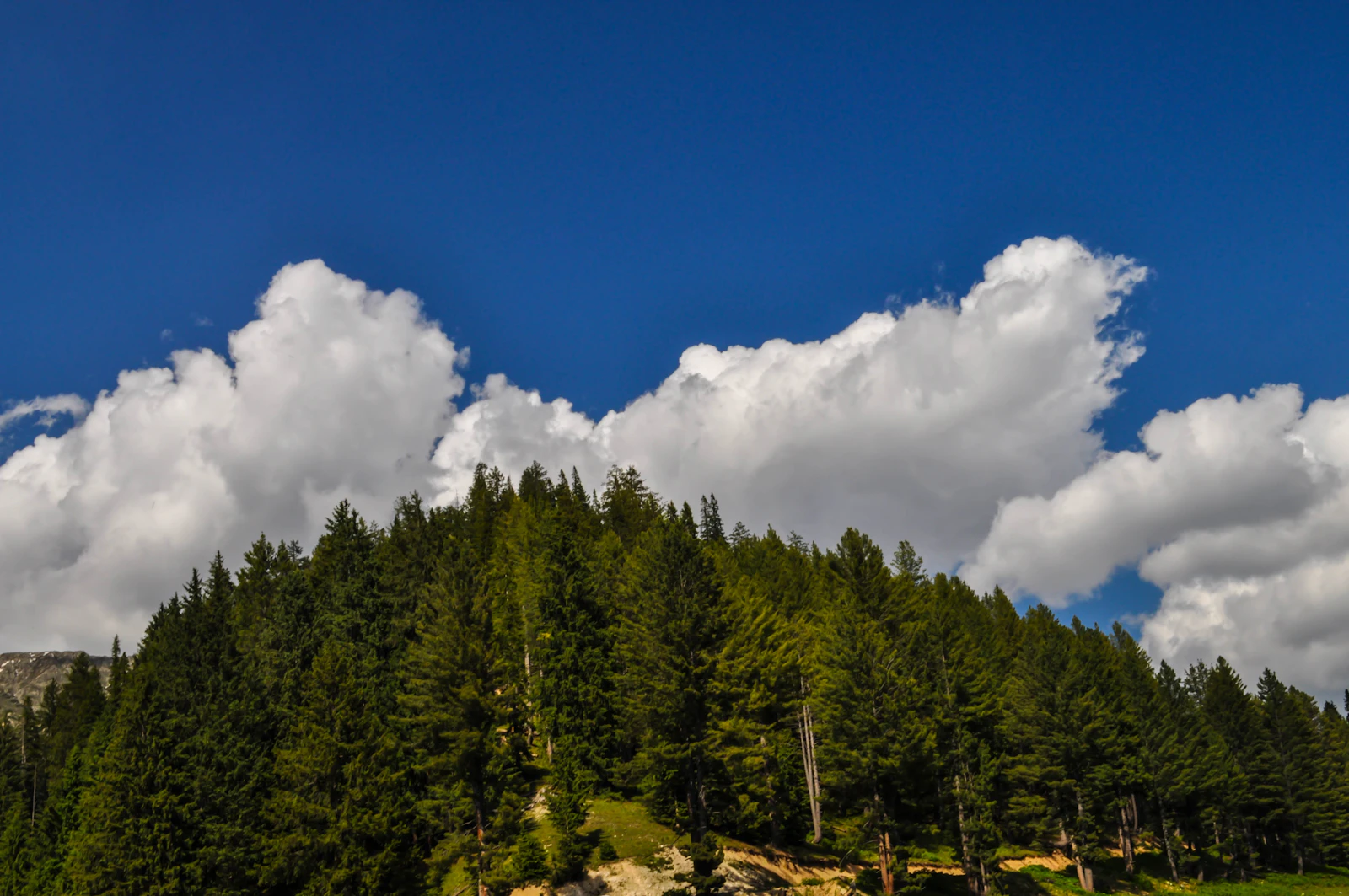 Kumrat Valley: Pakistan's Rising Star Destination (2026 Guide)