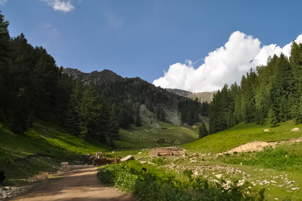 a dirt road in a valley with trees and mountains in the background