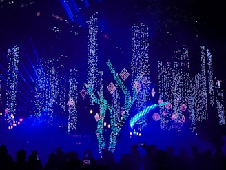 a crowd of people in front of a stage with lights