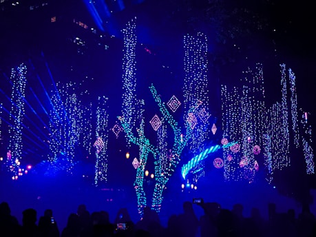a crowd of people in front of a stage with lights