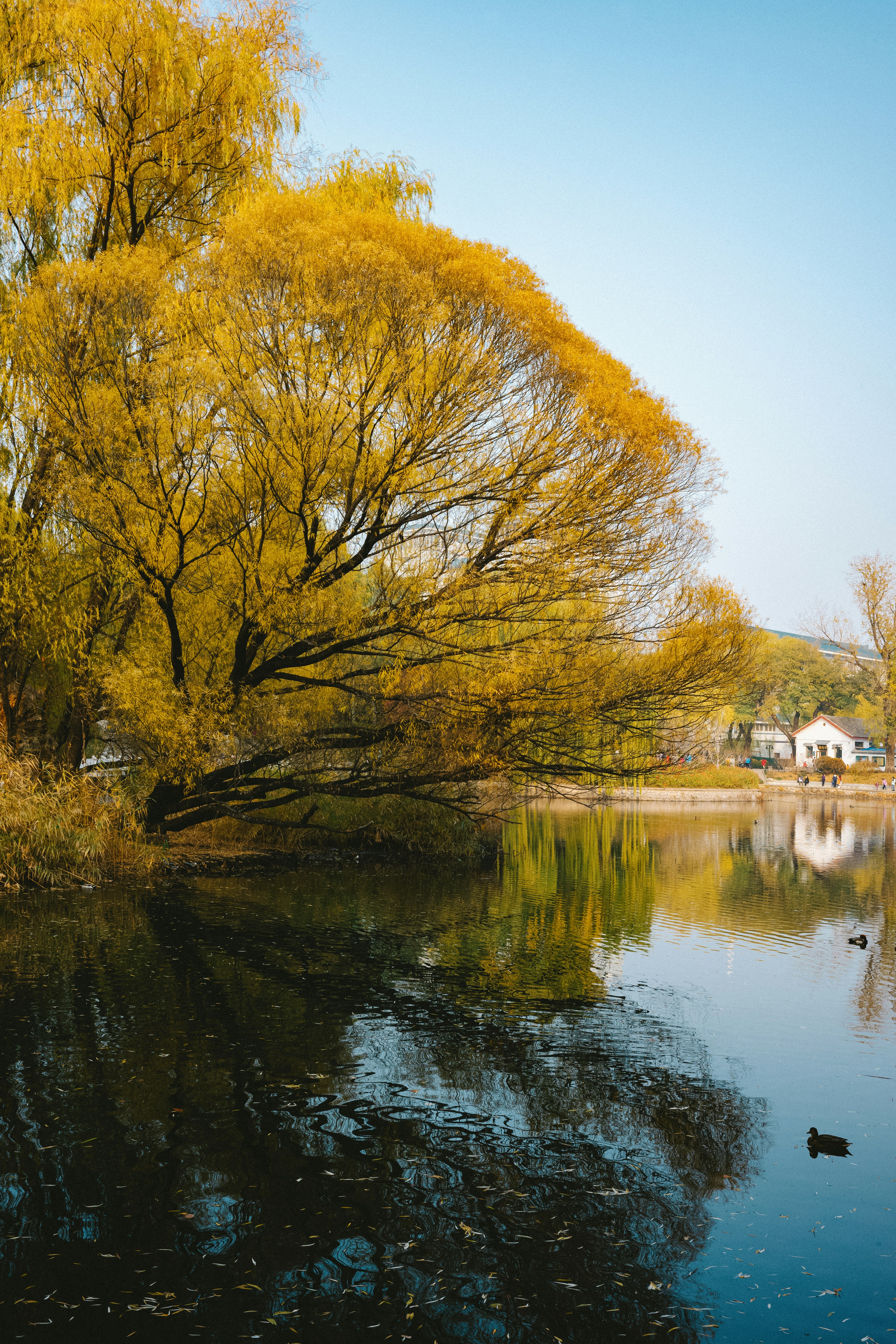 Photo by tommaomaoer