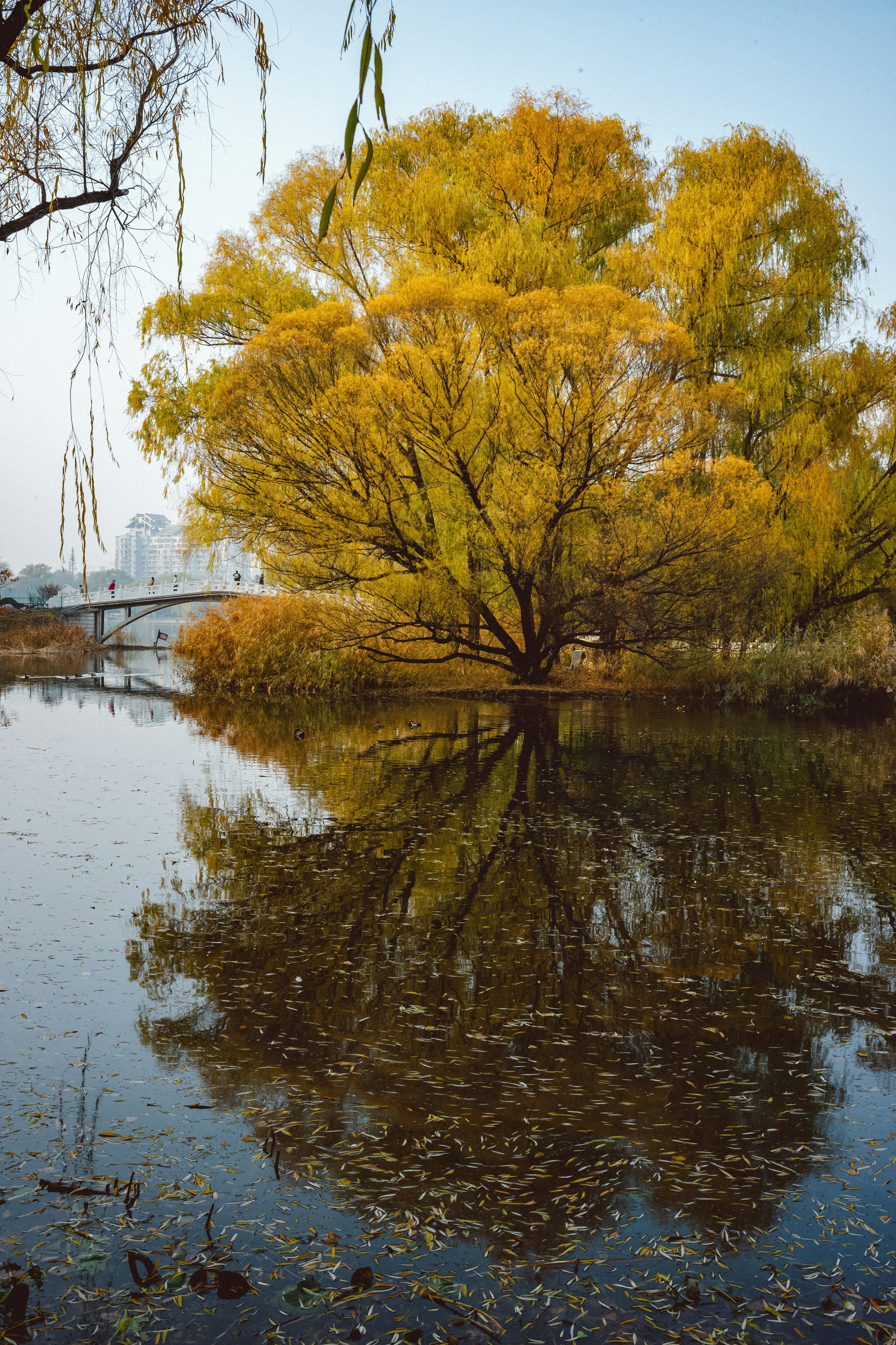 Photo by tommaomaoer