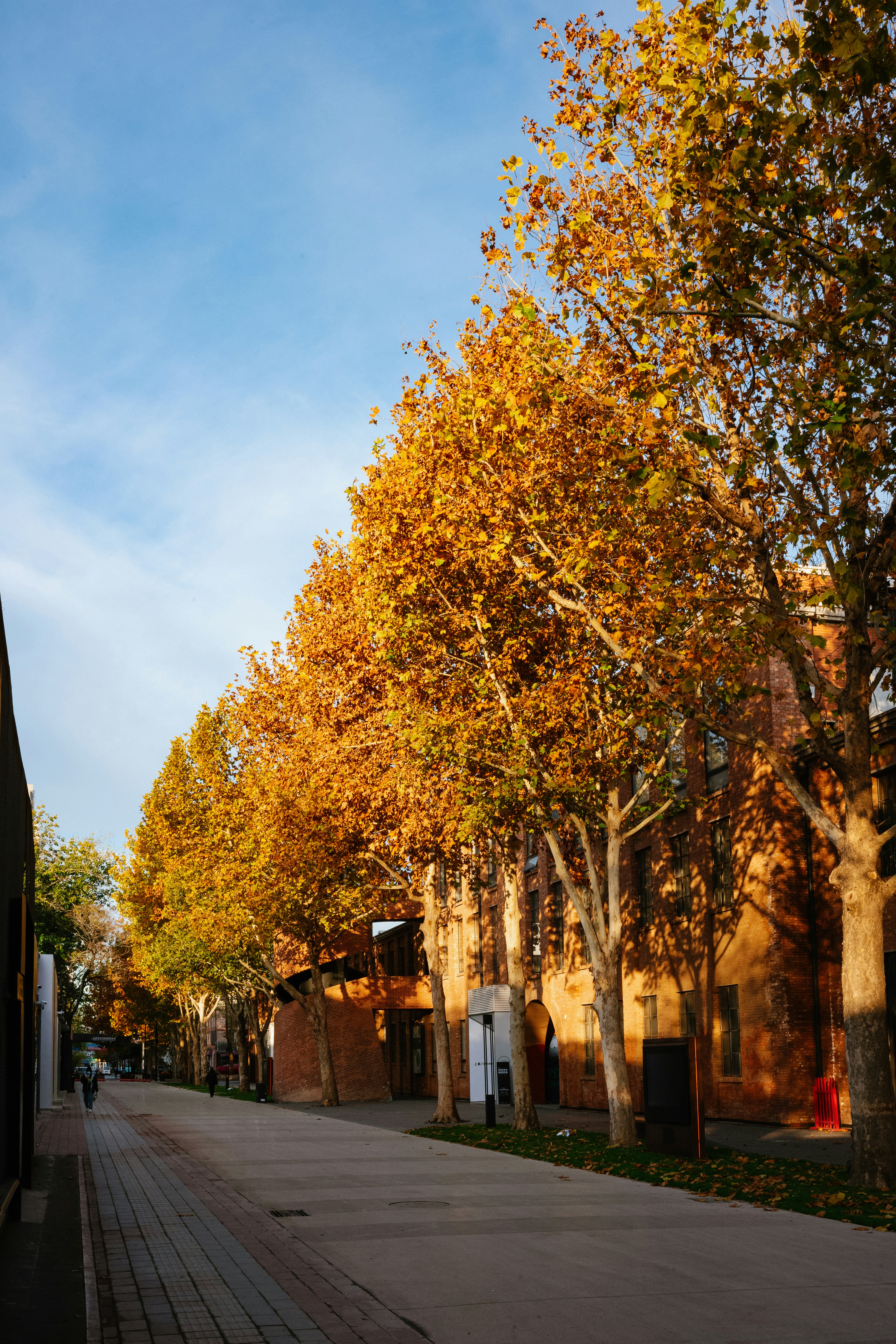 Photo by tommaomaoer