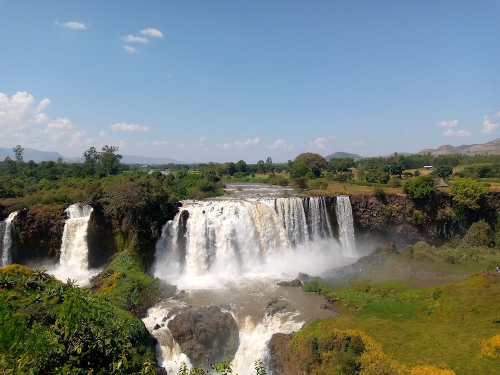 Blue Nile Falls in a forest