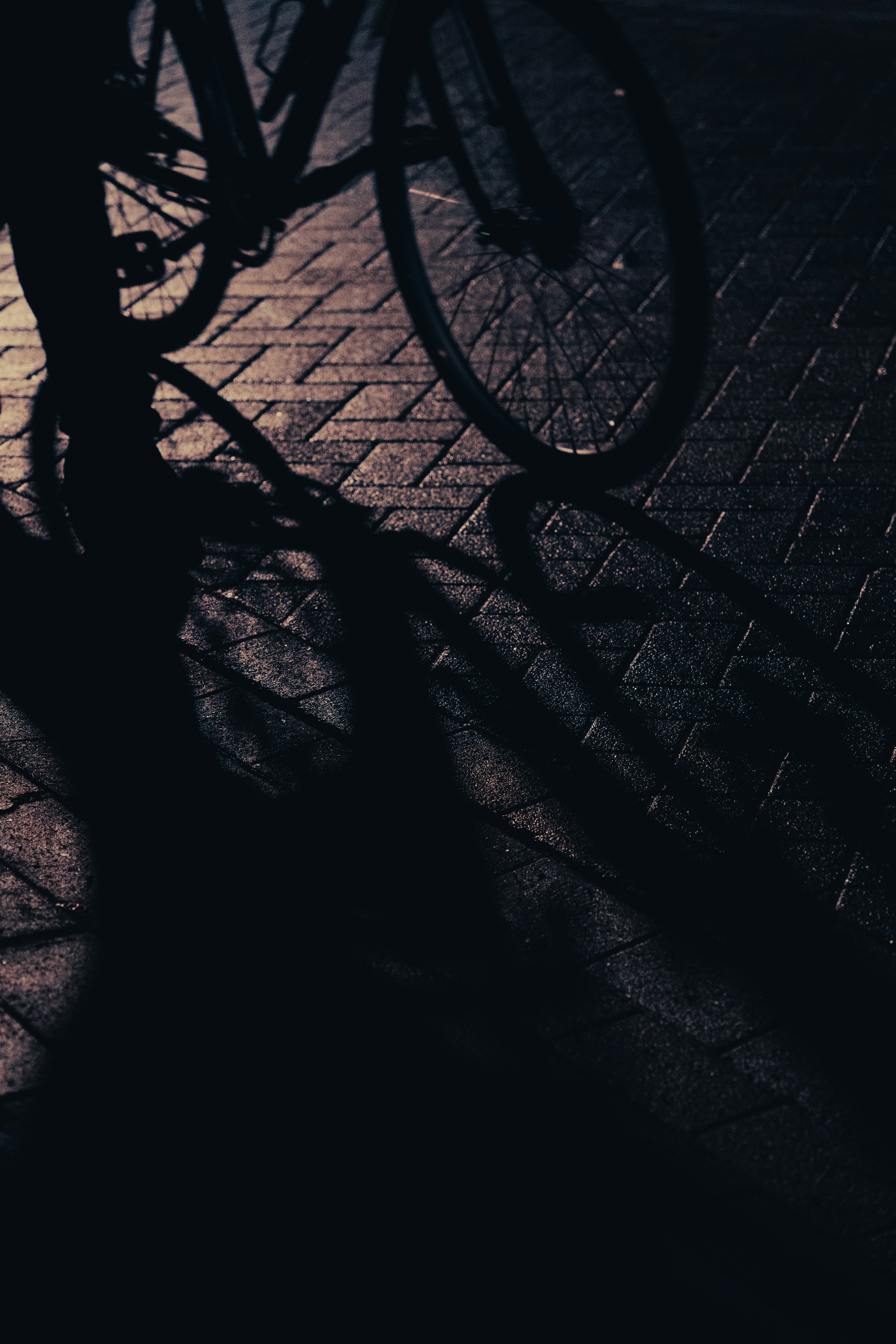 Photo by __evanyang__