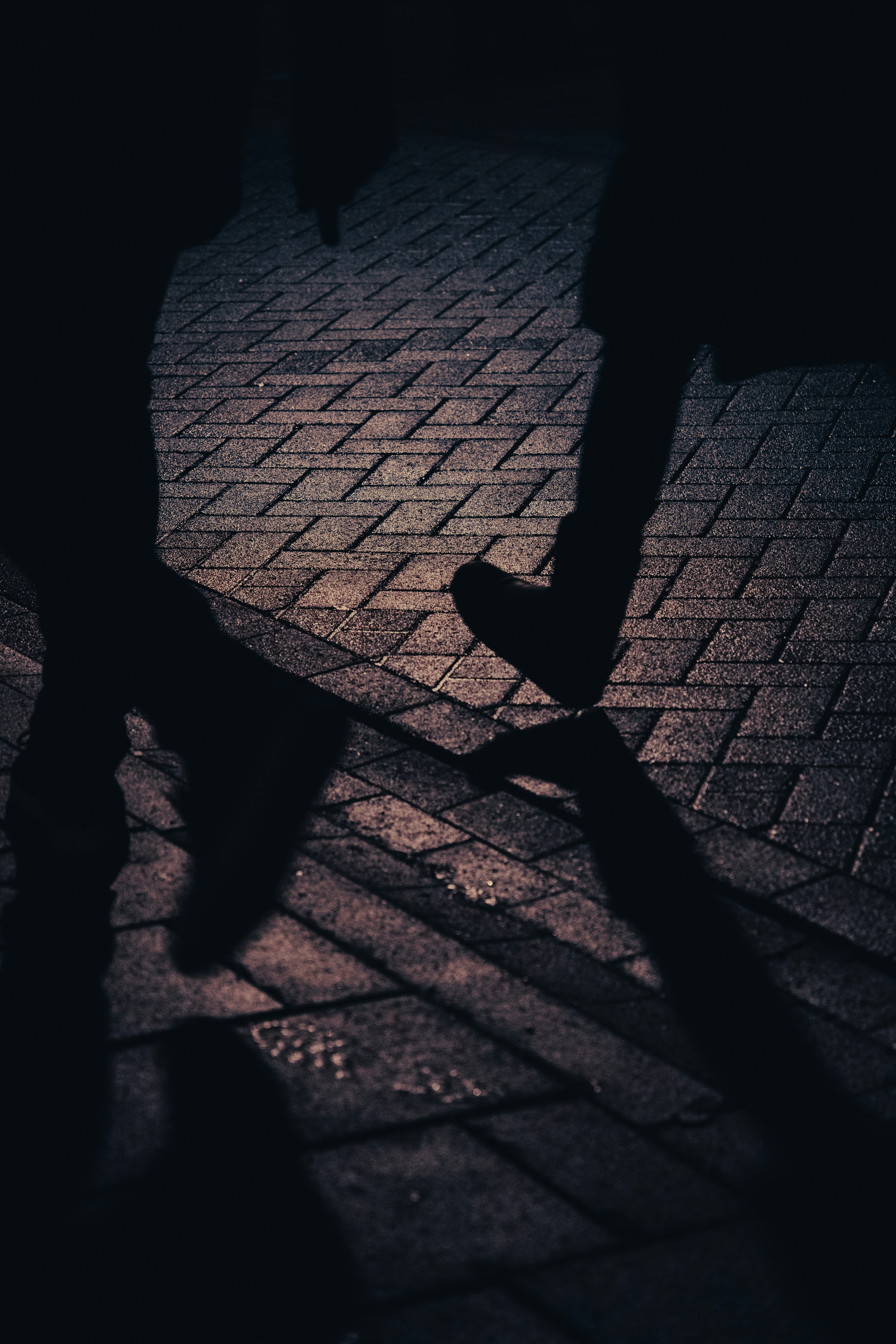 Photo by __evanyang__