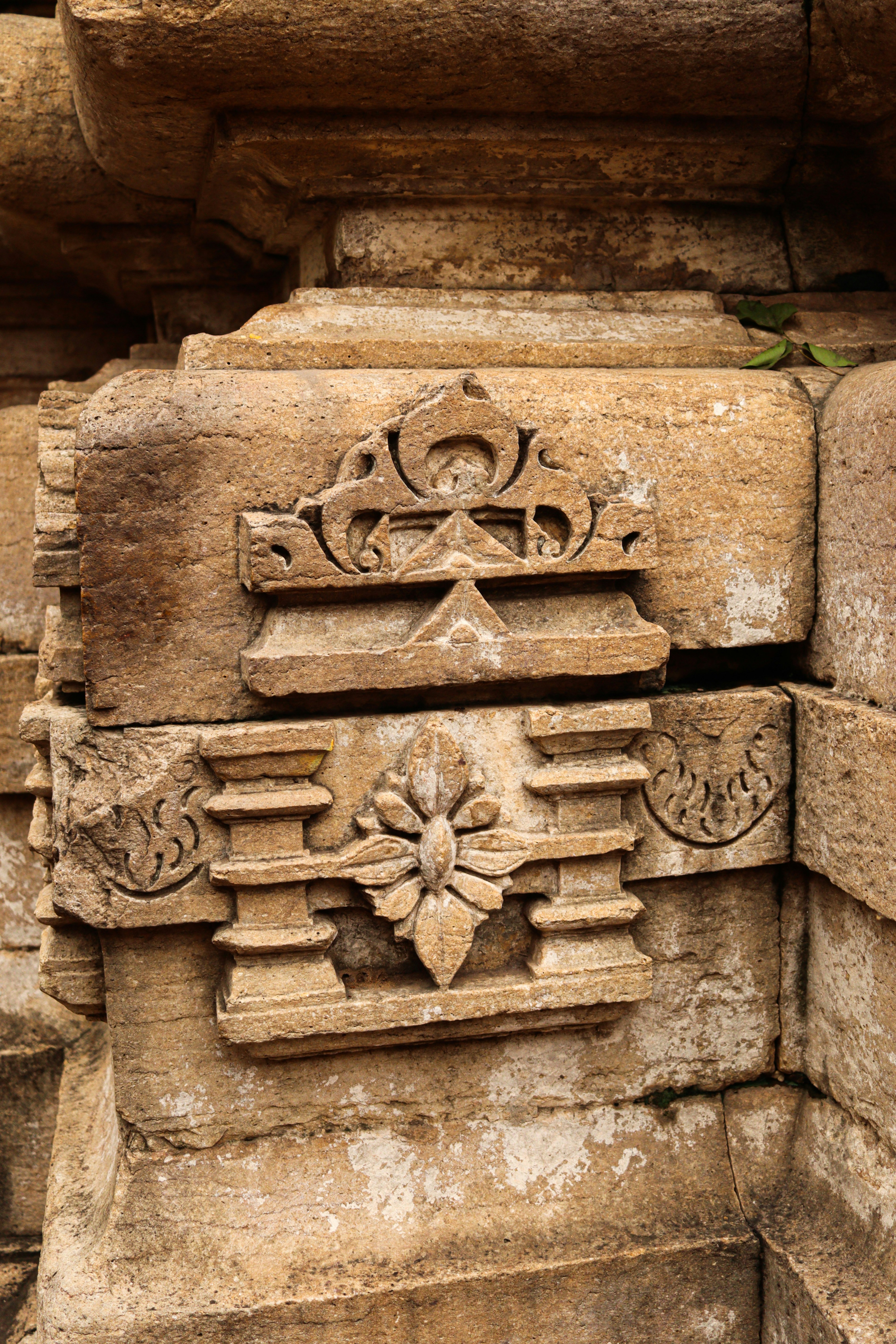 Photo by swastikarora