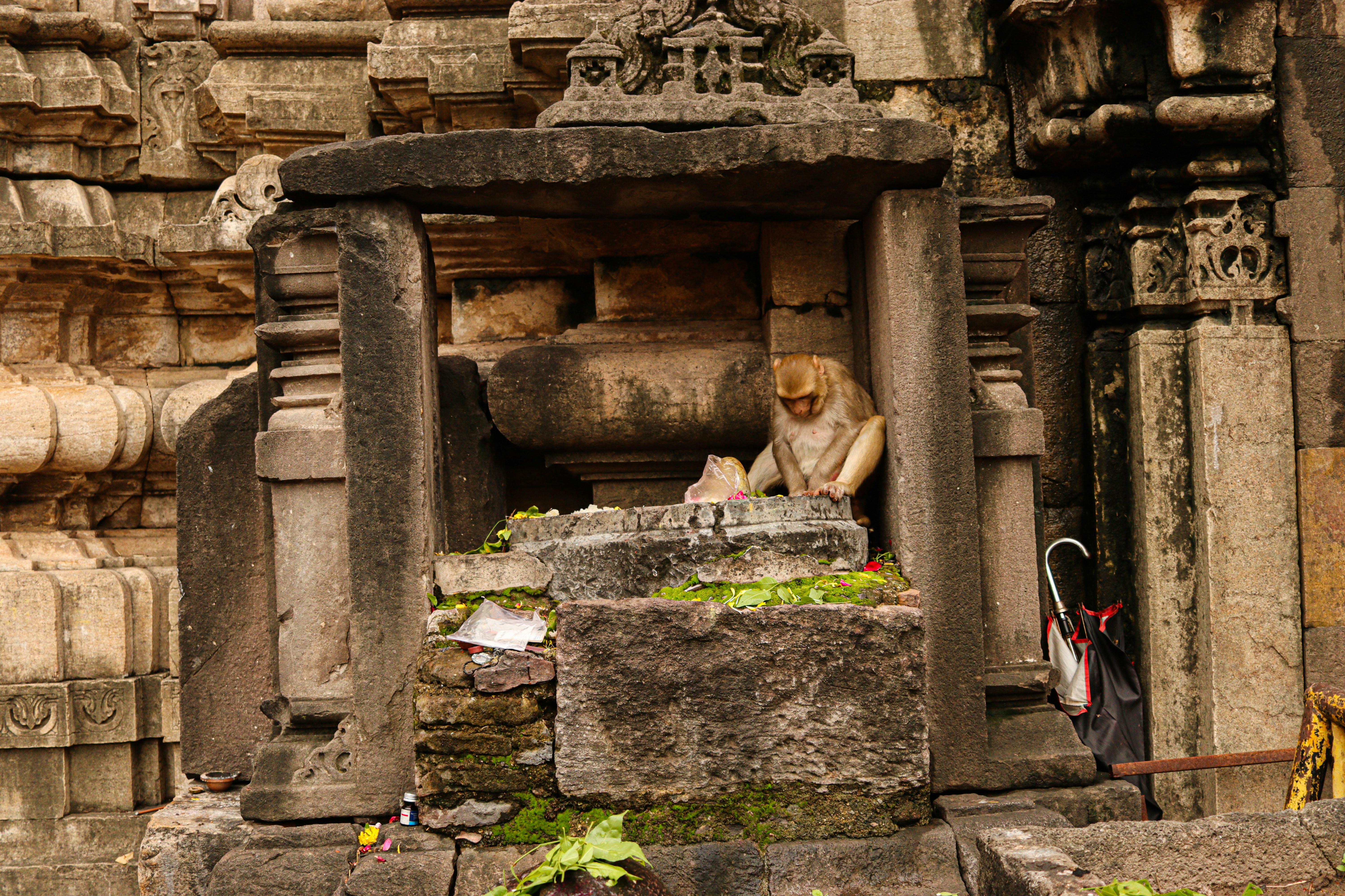 Photo by swastikarora