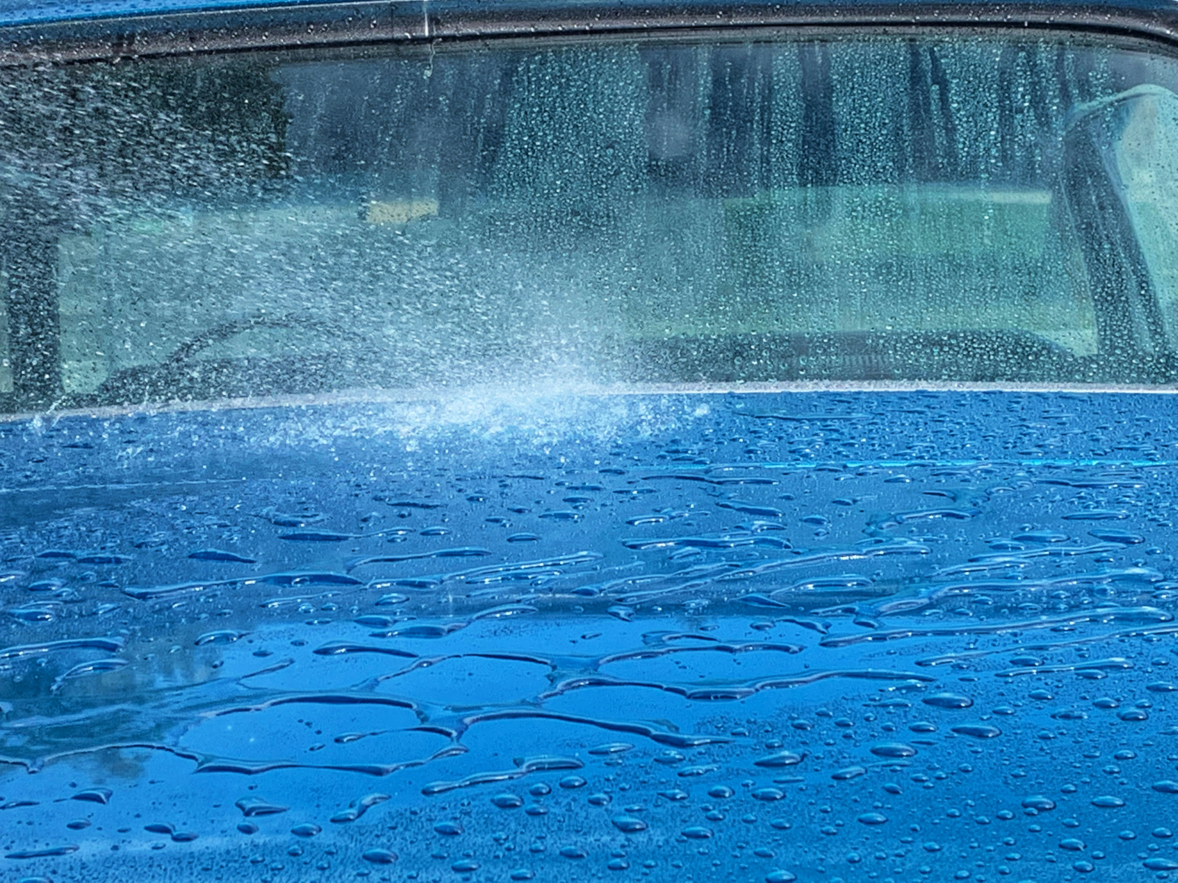 Photo by suzannefinn