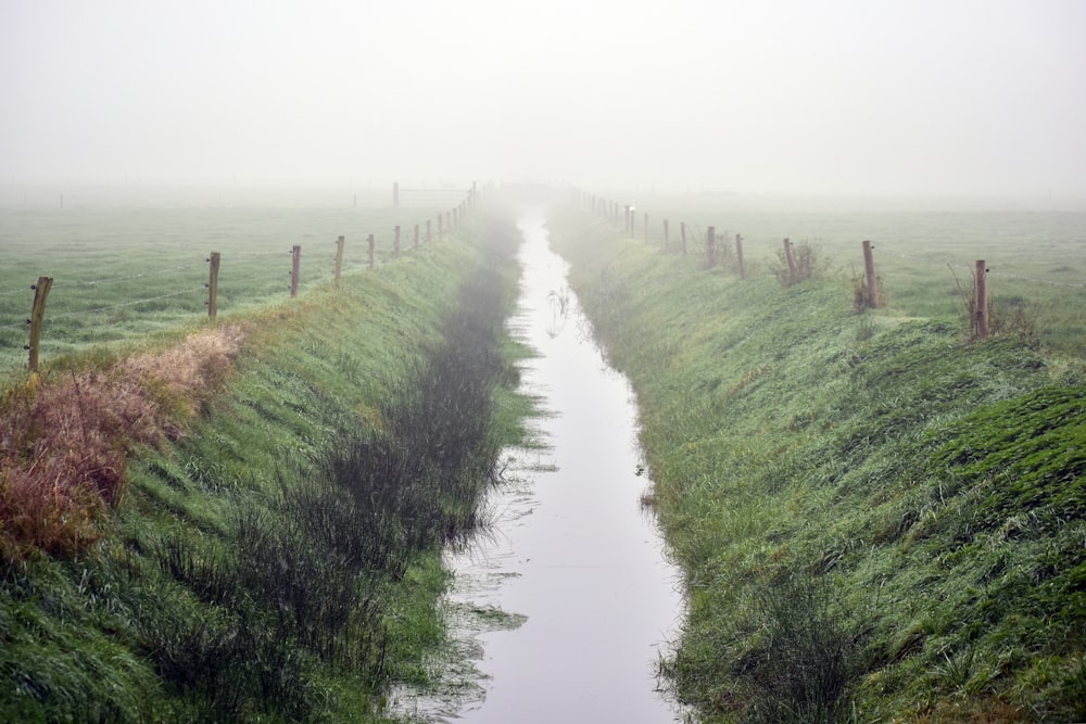 a stream in a foggy field
