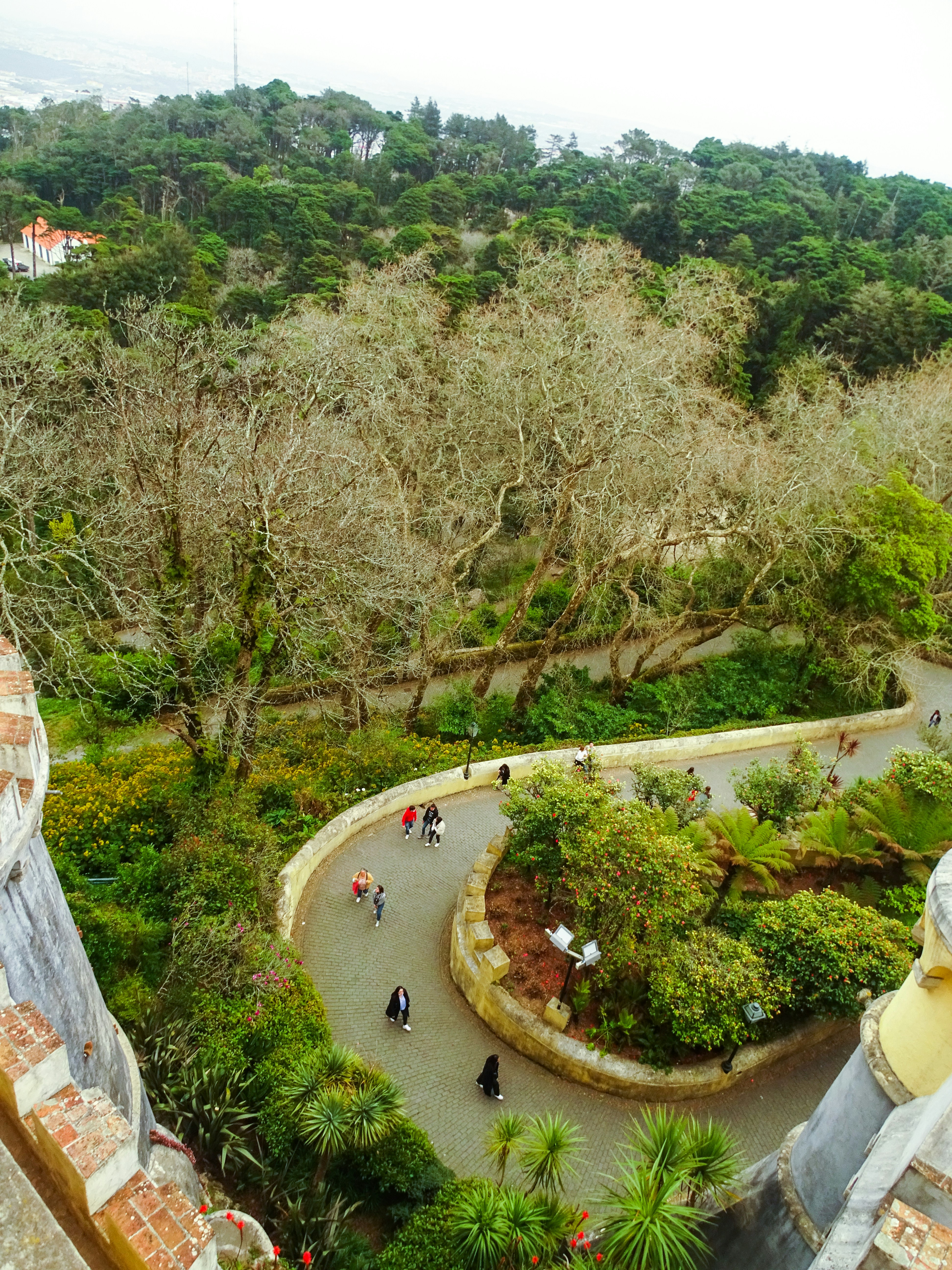 Palácio Nacional de Sintra