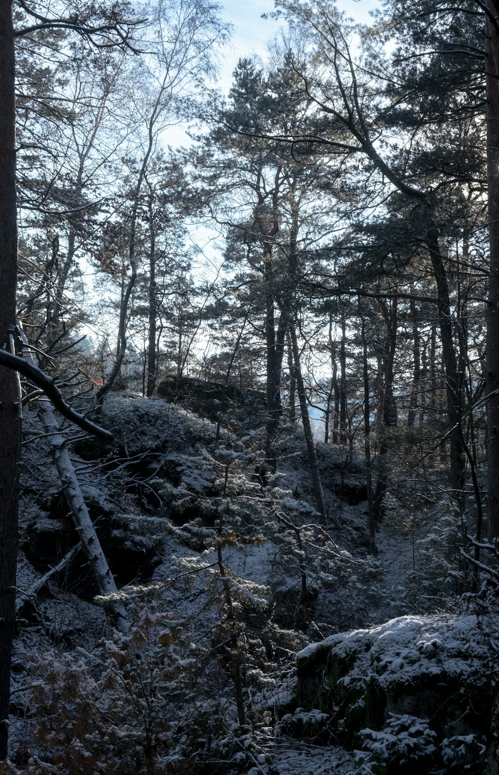 a rocky and snowy area