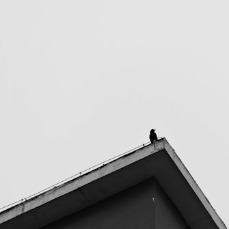 A crow stands perched on the edge of a building's roof. The image is captured in black and white, enhancing the stark contrast between the crow's dark silhouette and the light sky. The architectural lines of the building lead the eye towards the bird, which is centrally positioned against the bare sky.