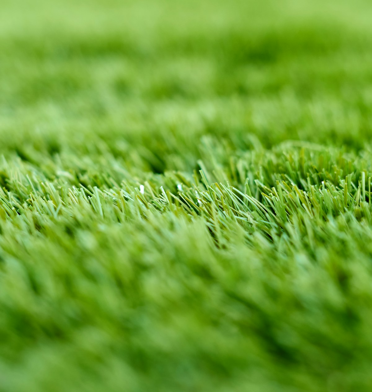 Artificial grass cleaning image