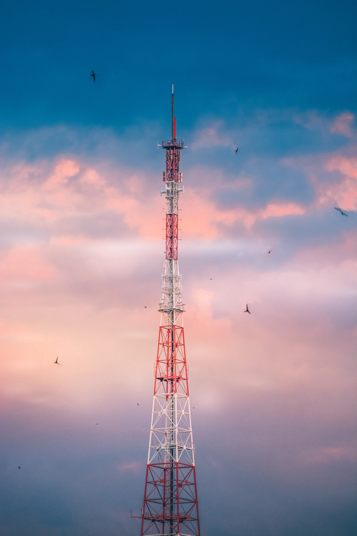 Communications tower rising against the sky