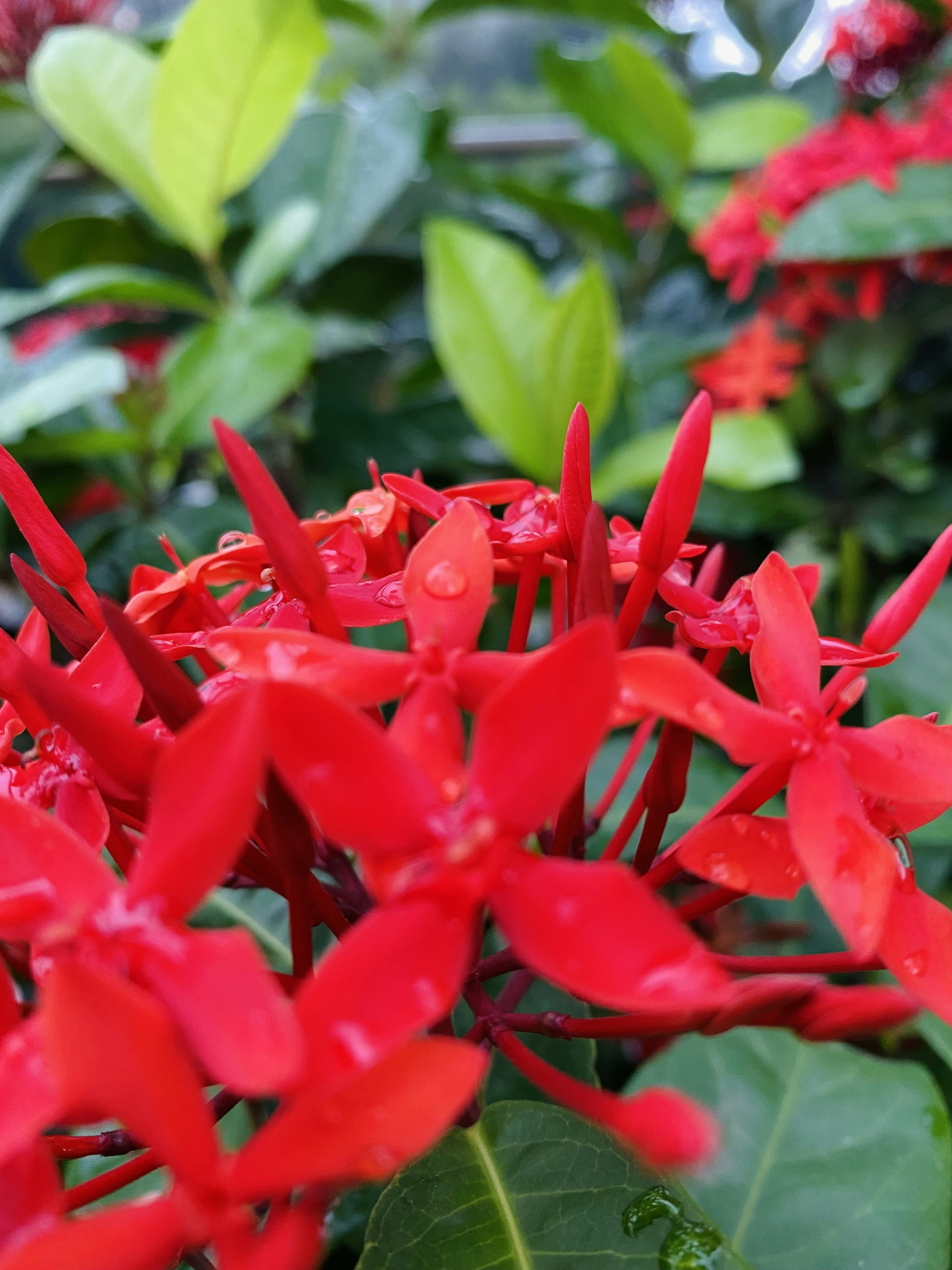 Photo by sheikh_shack