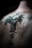 An abstract, detailed tattoo is depicted on a person's back, featuring intricate designs and text in a vertical alignment. The tattoo has a dark green to black color scheme, with sharp, defined lines and some blurred areas, creating a mysterious and artistic effect.