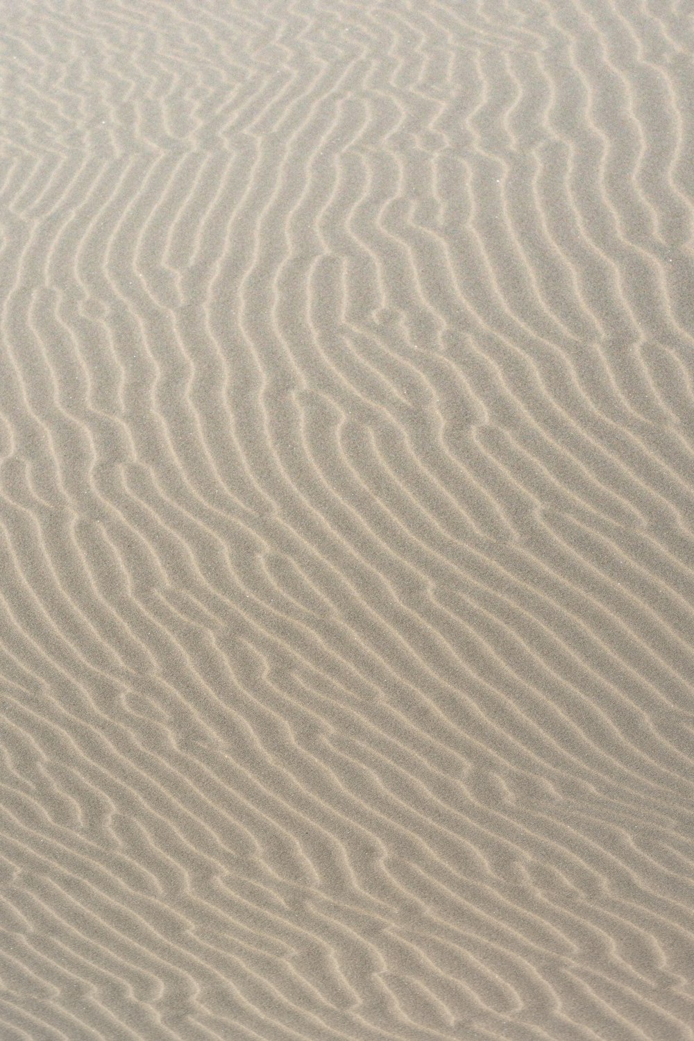a large area of sand