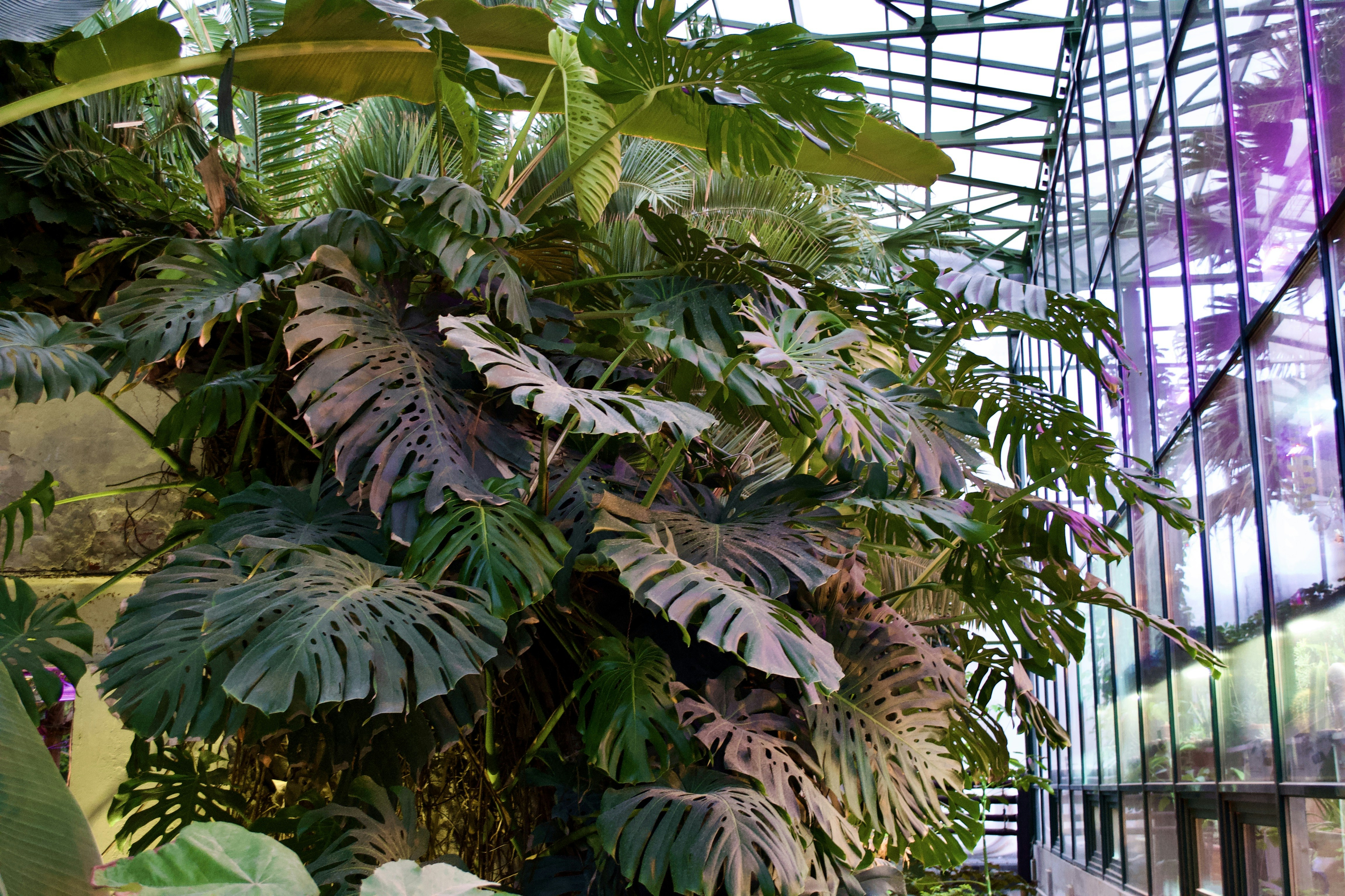 Photo by evgenslavin